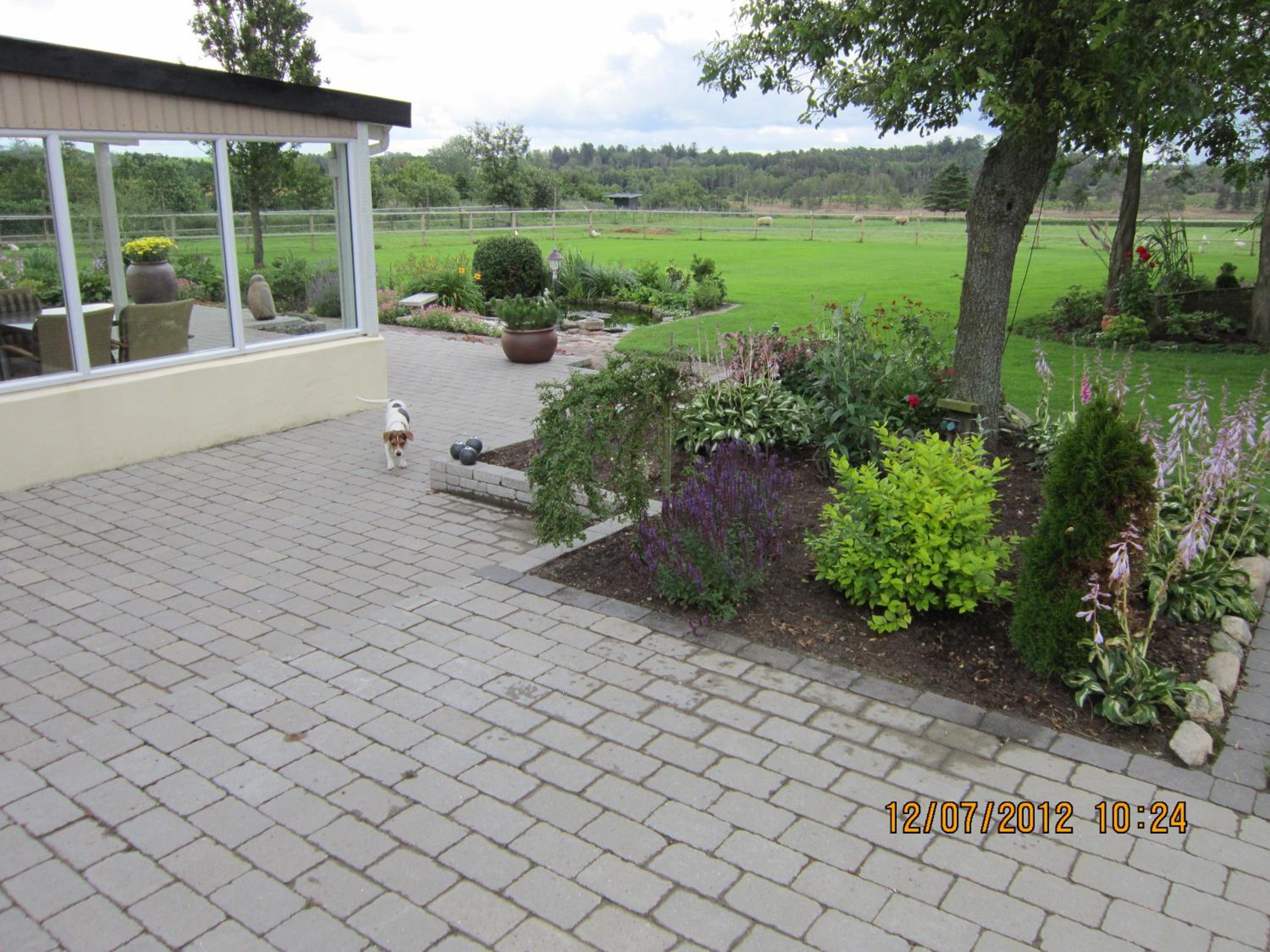 Photo 25