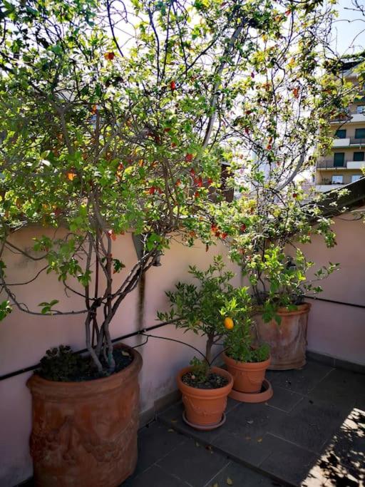 Centrale-Luxury apartment with Garden Terrace