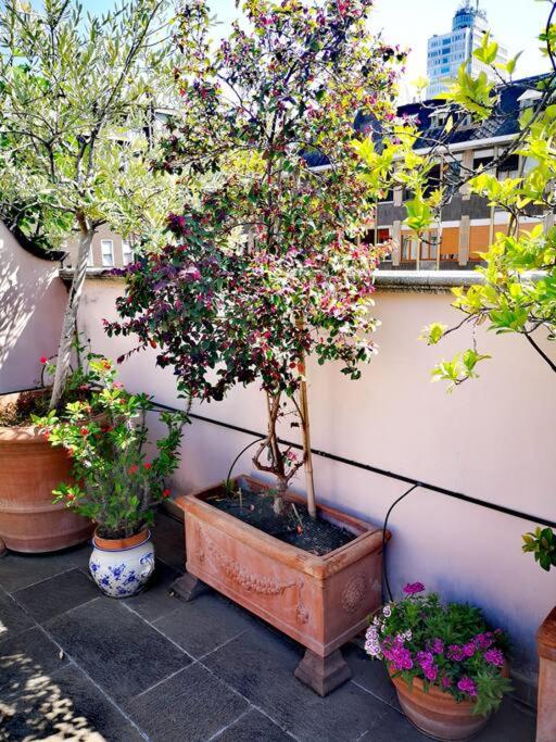 Centrale-Luxury apartment with Garden Terrace