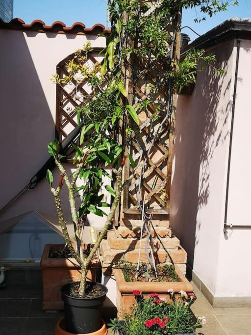 Centrale-Luxury apartment with Garden Terrace