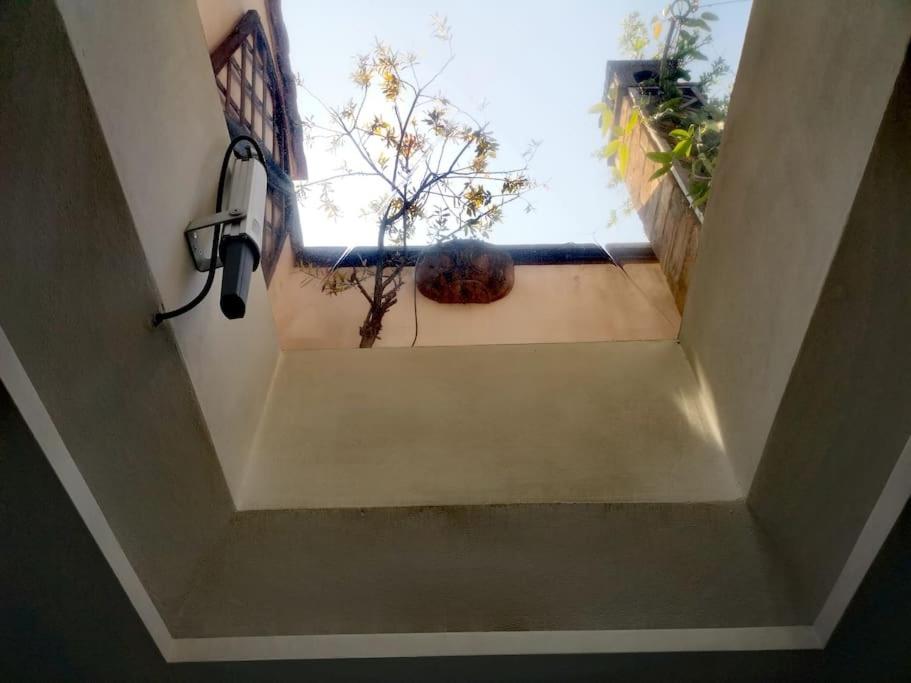 Centrale-Luxury apartment with Garden Terrace
