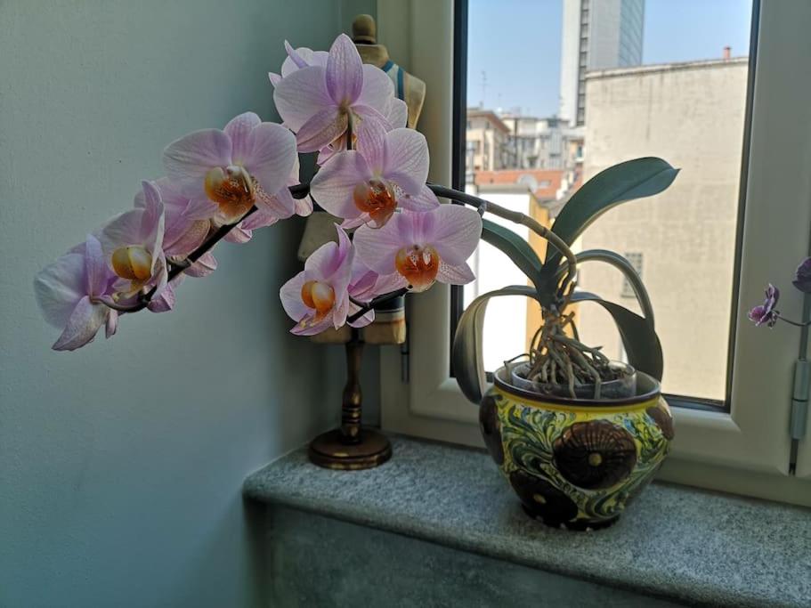 Centrale-Luxury apartment with Garden Terrace