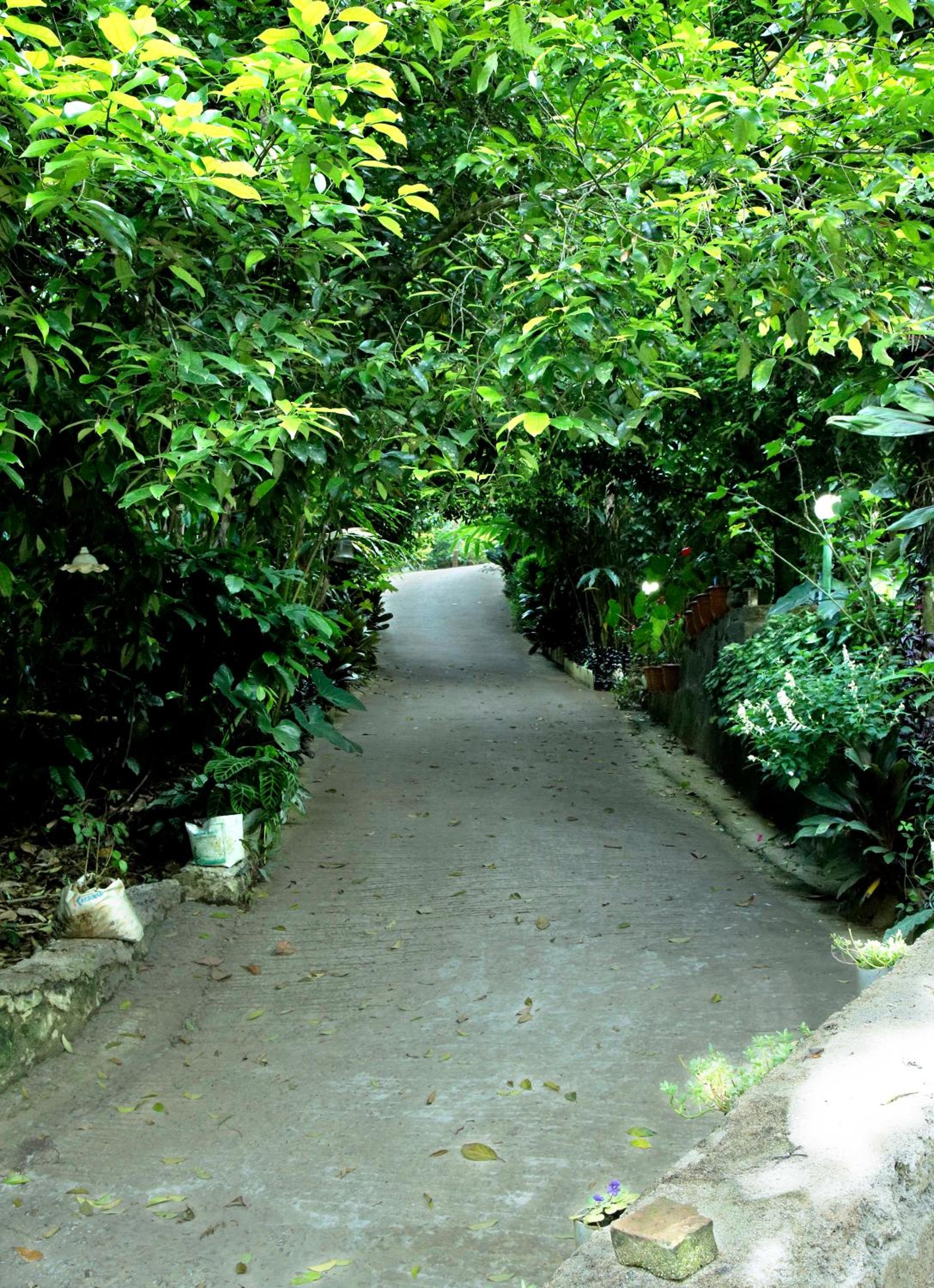 vattachalil villa