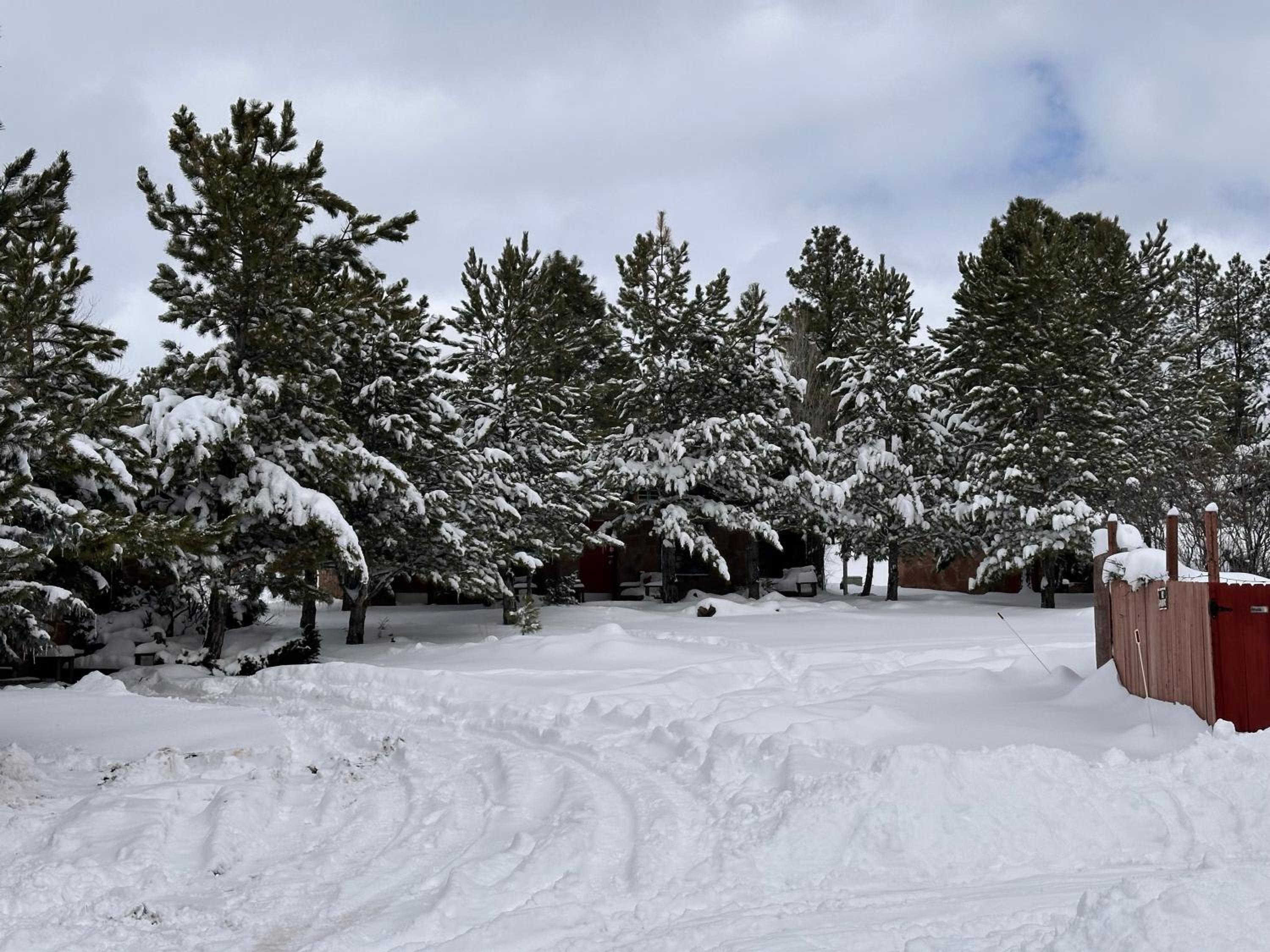 The Canyon Motel & RV Park