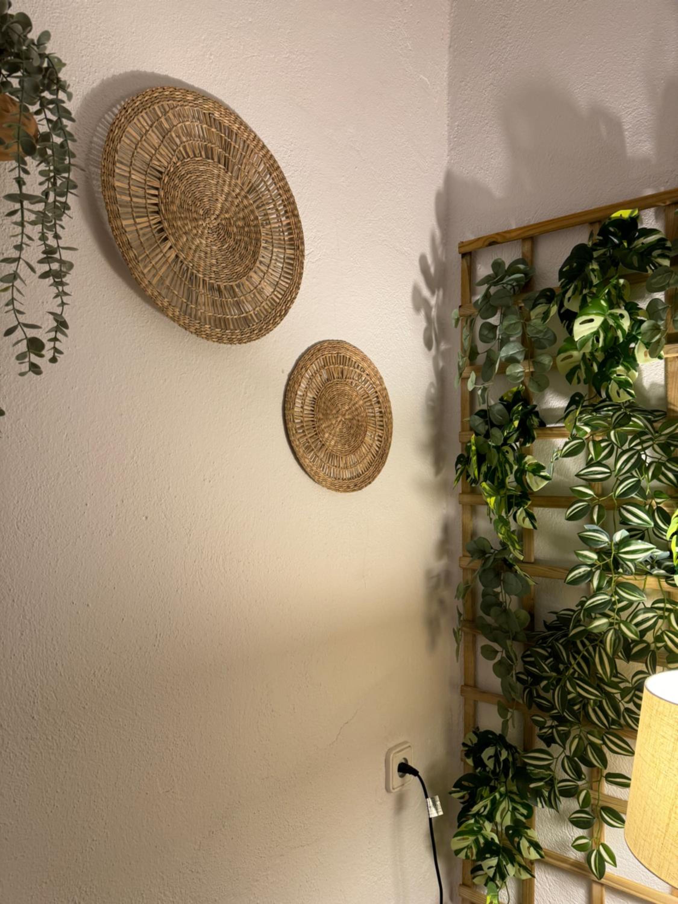 Garden Suites Xativa Casa Rural