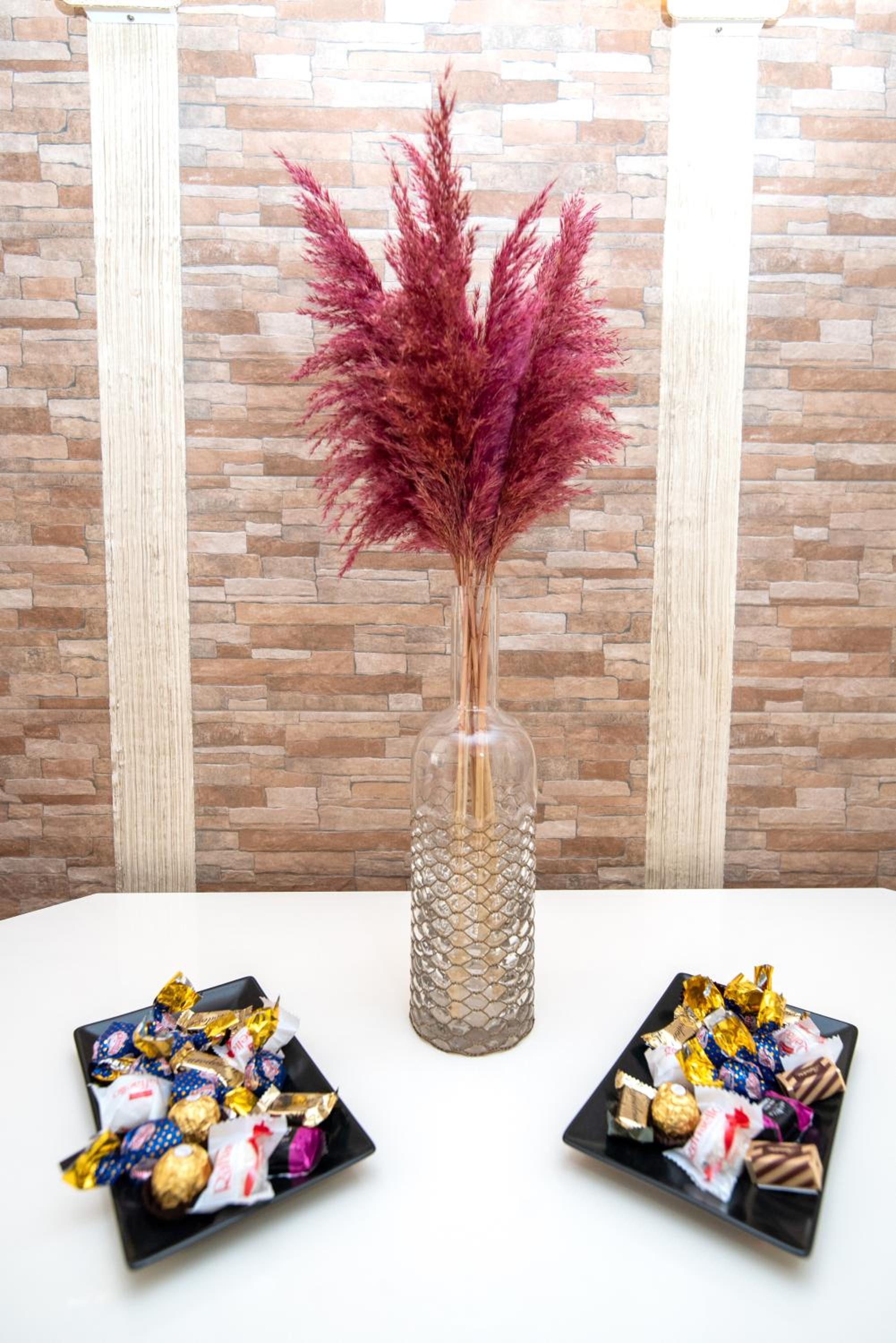 Studio Apartman Pannonia 1