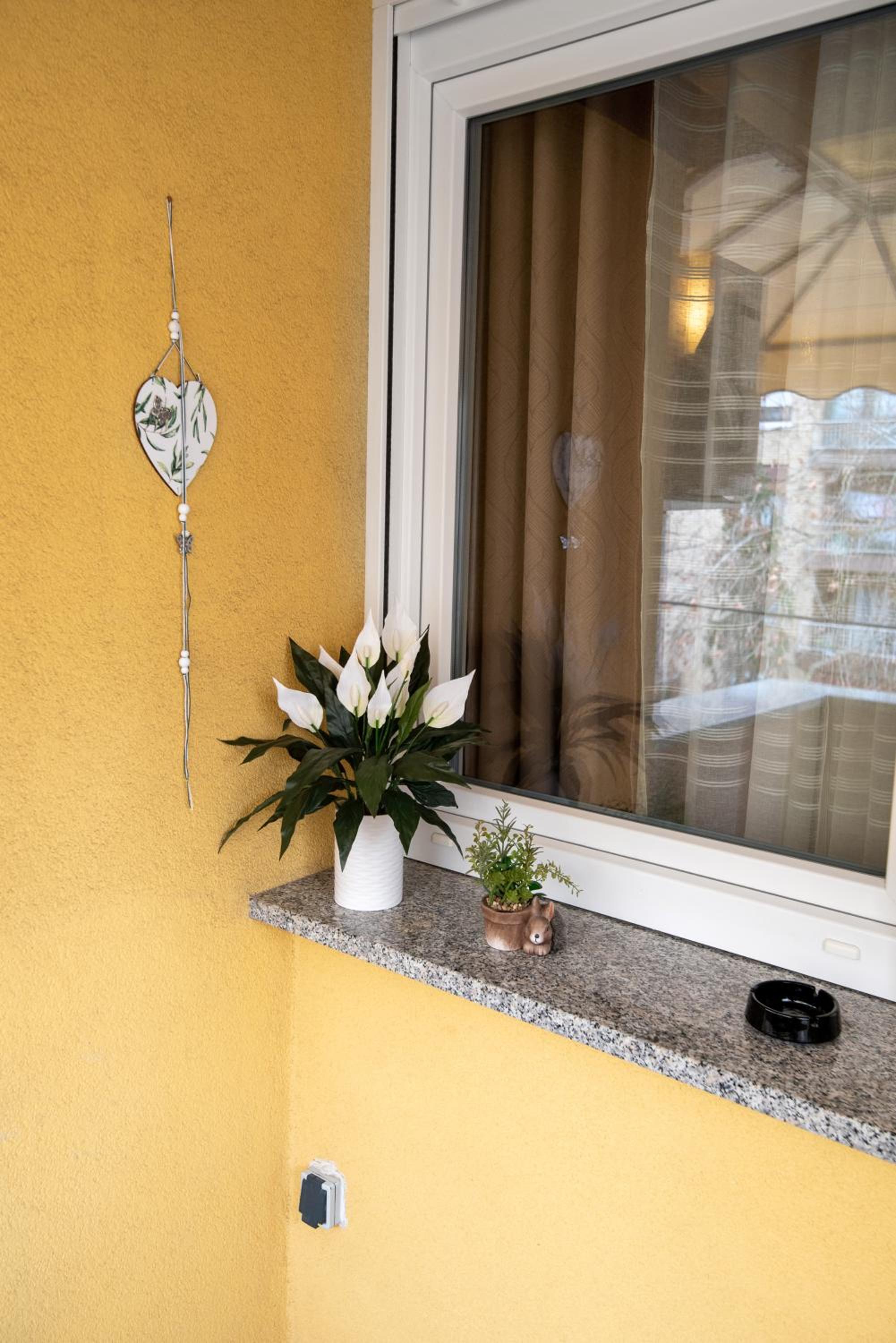 Studio Apartman Pannonia 1