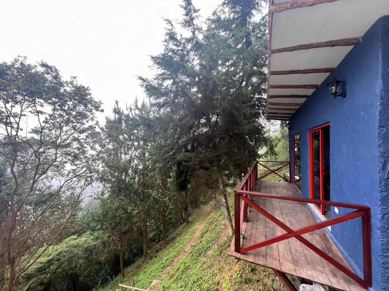 Finca Montmagica