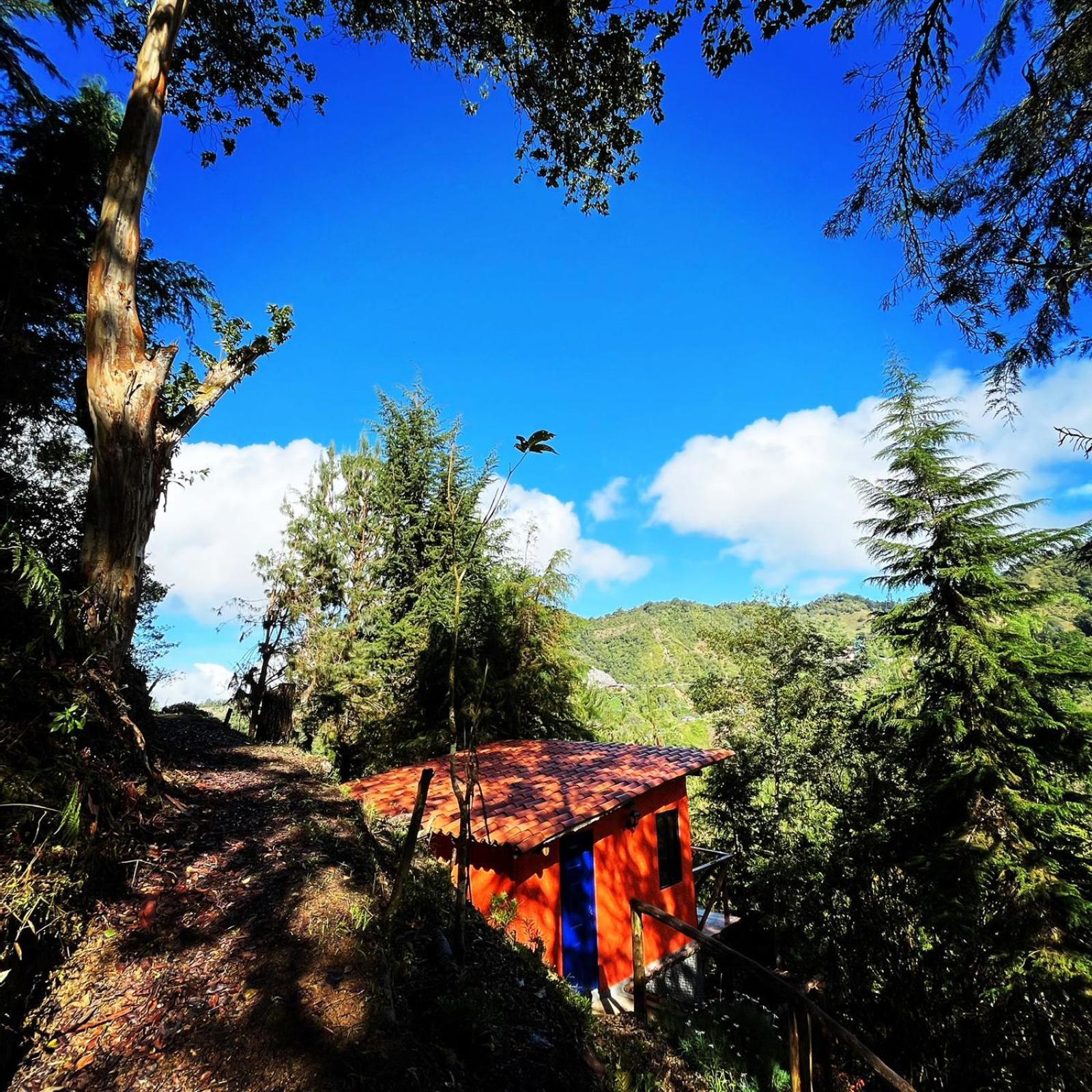 Finca Montmagica