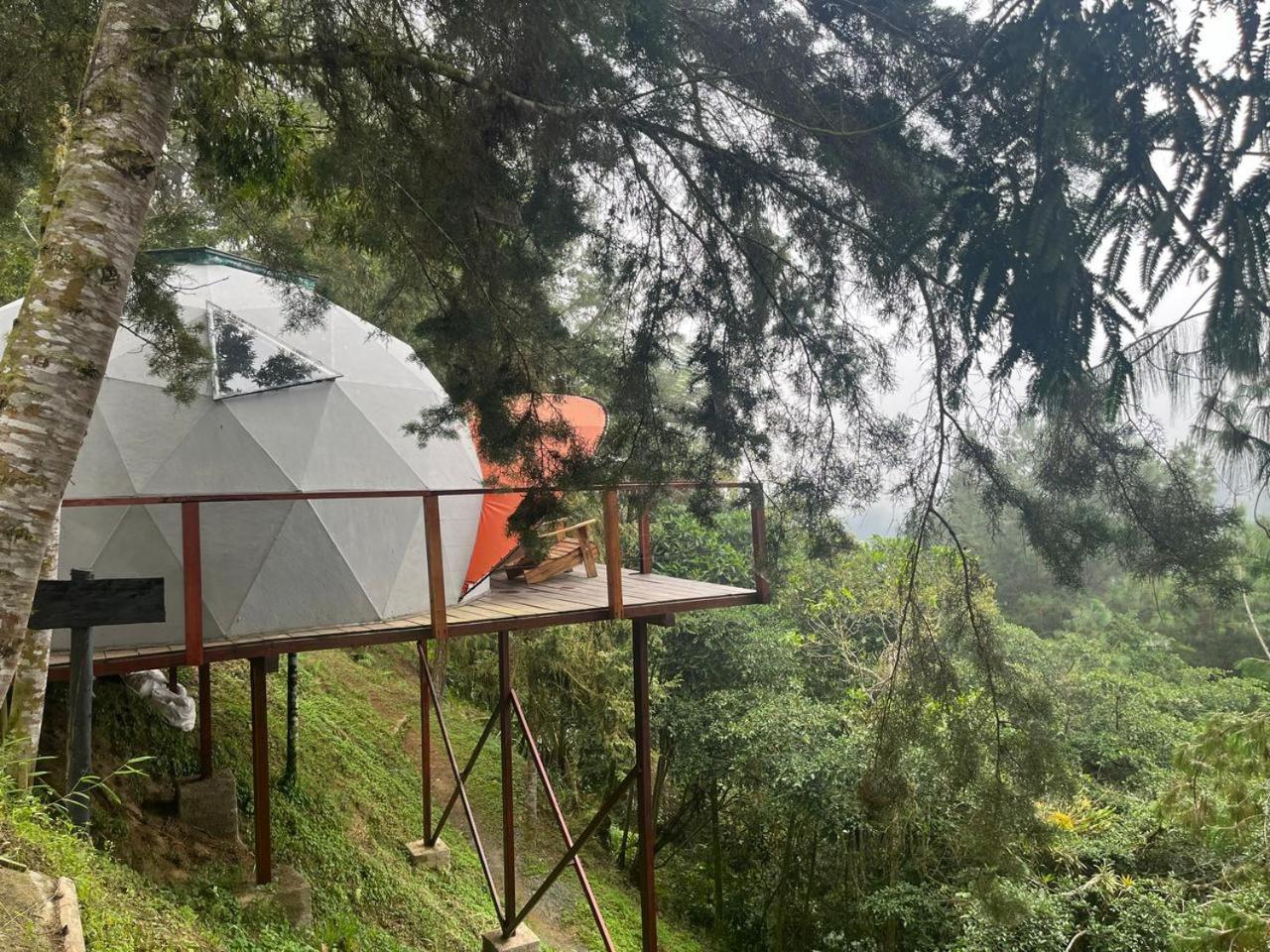 Finca Montmagica