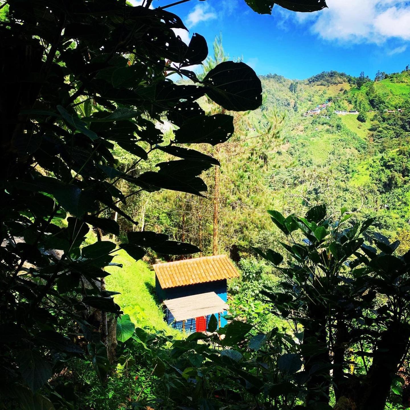 Finca Montmagica