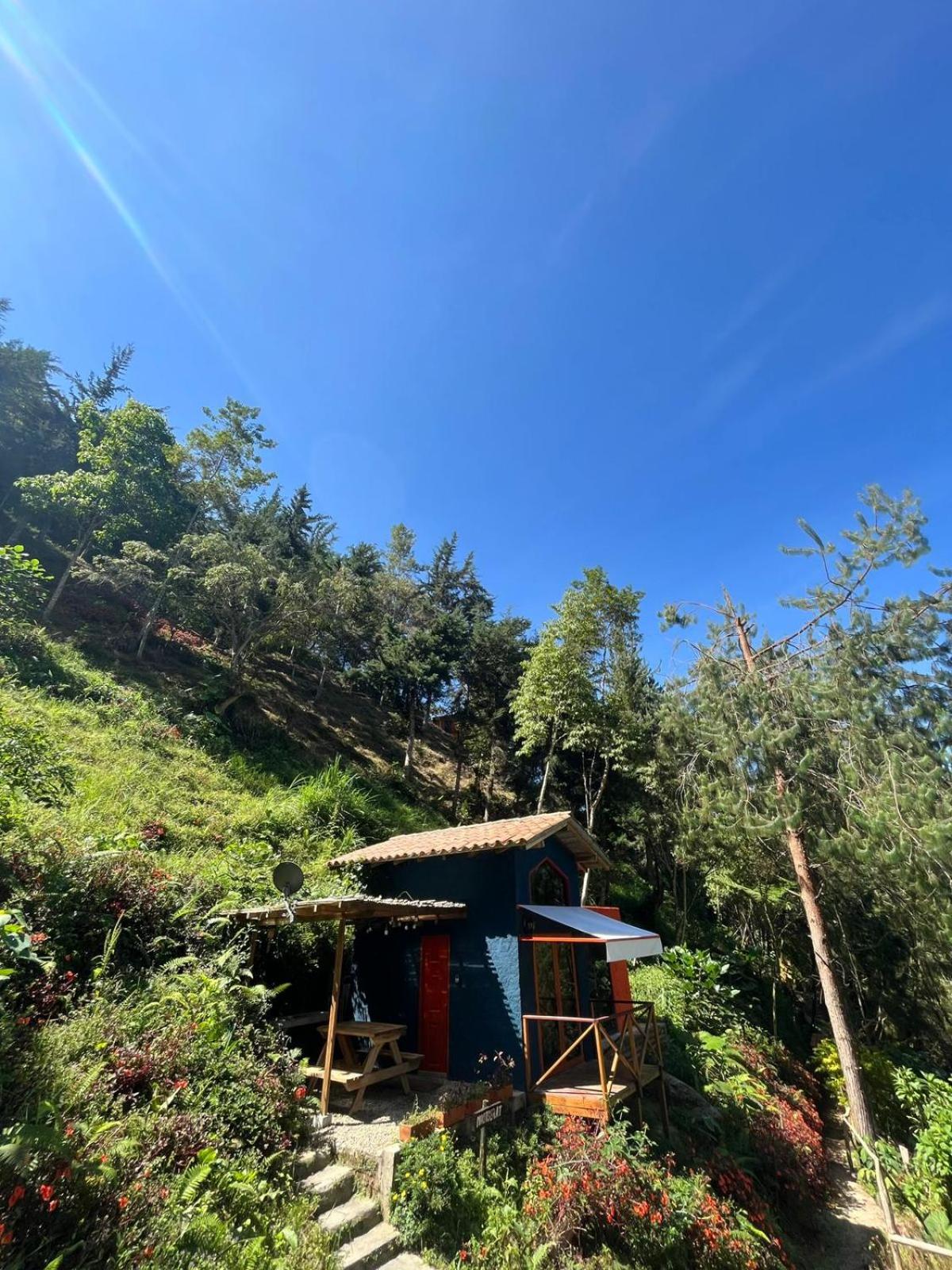 Finca Montmagica