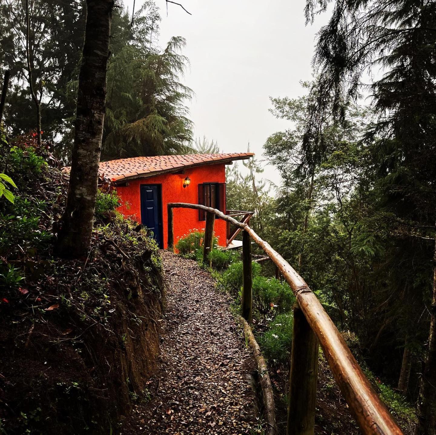 Finca Montmagica