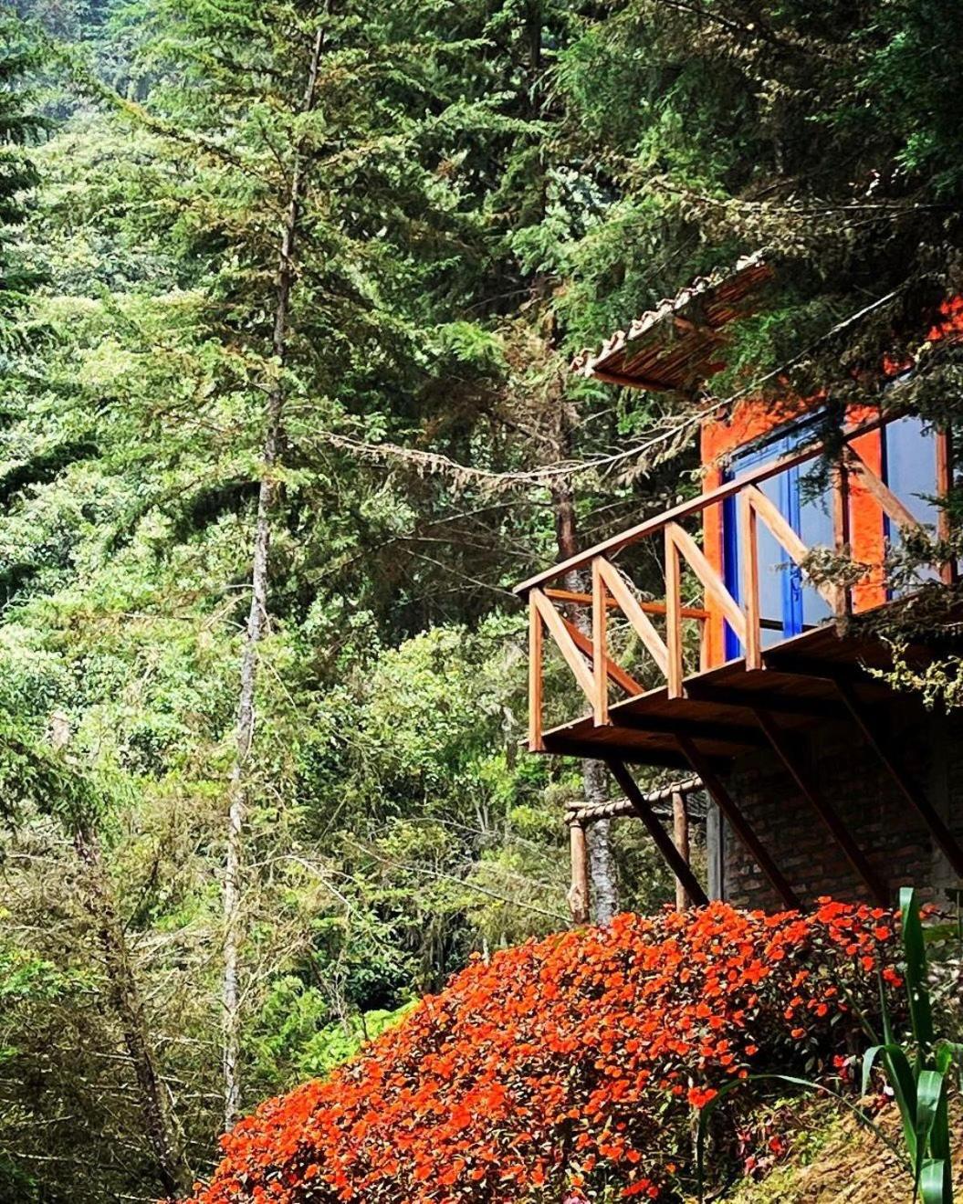 Finca Montmagica