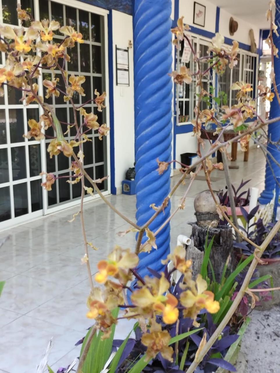 Photo 46