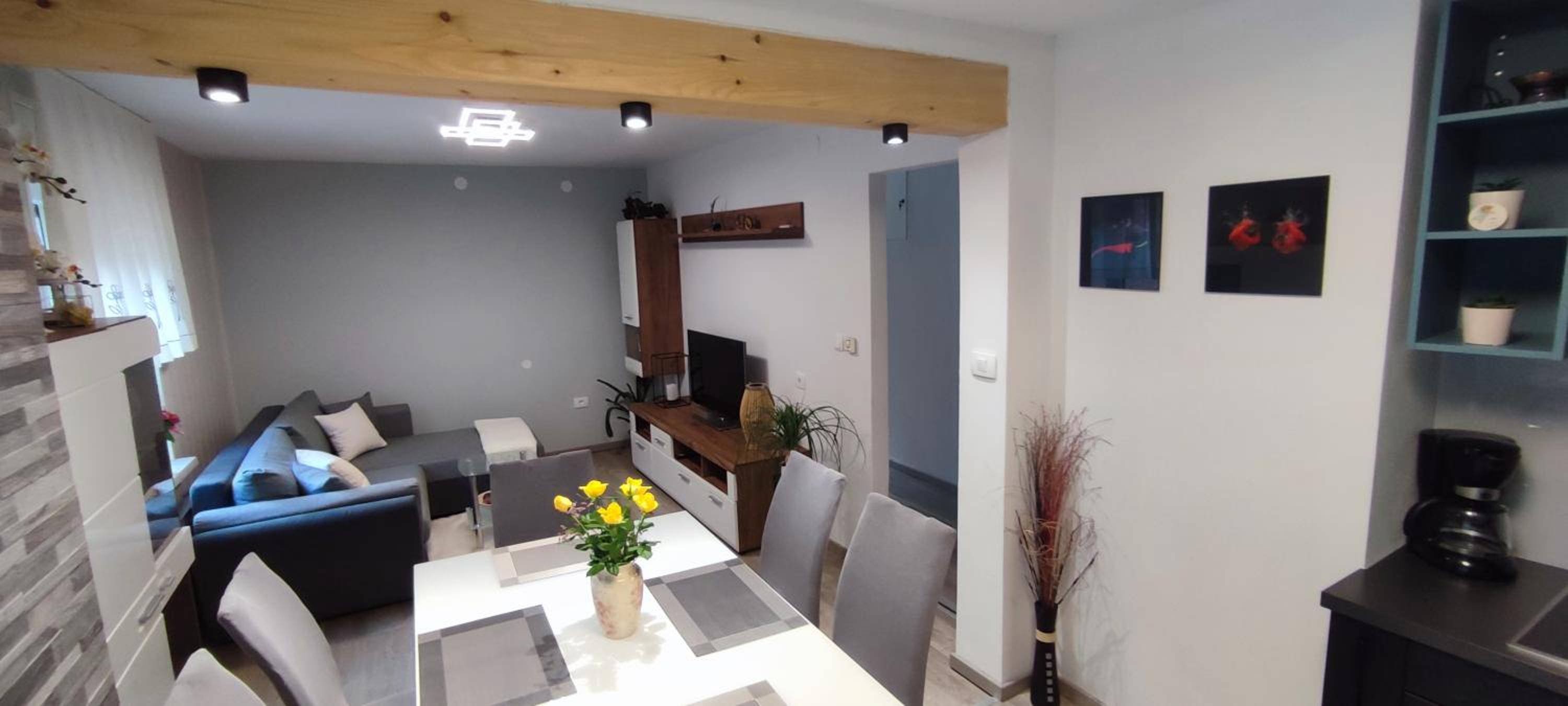 Apartma Soča Oasis view 3