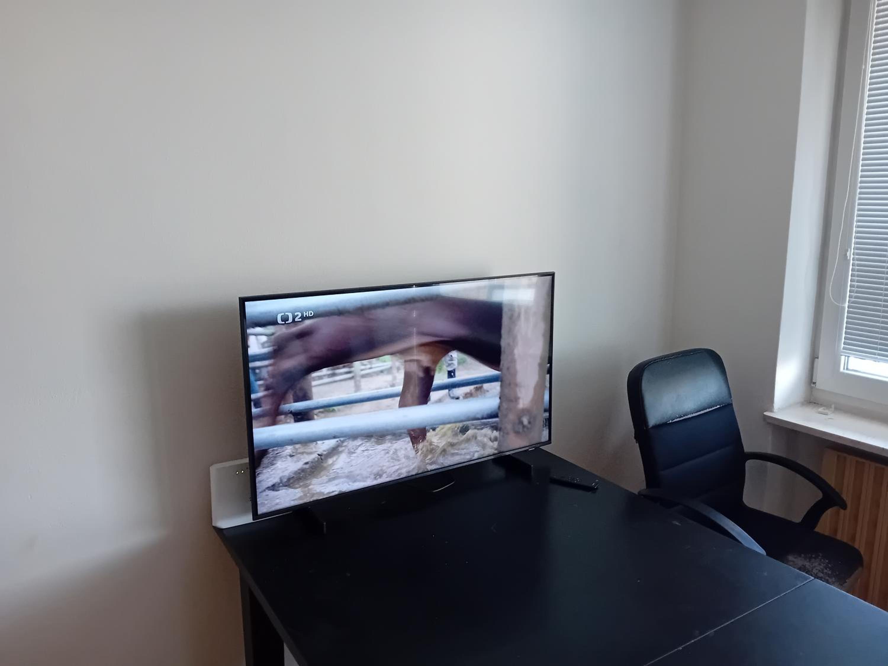 Sunny apartment
