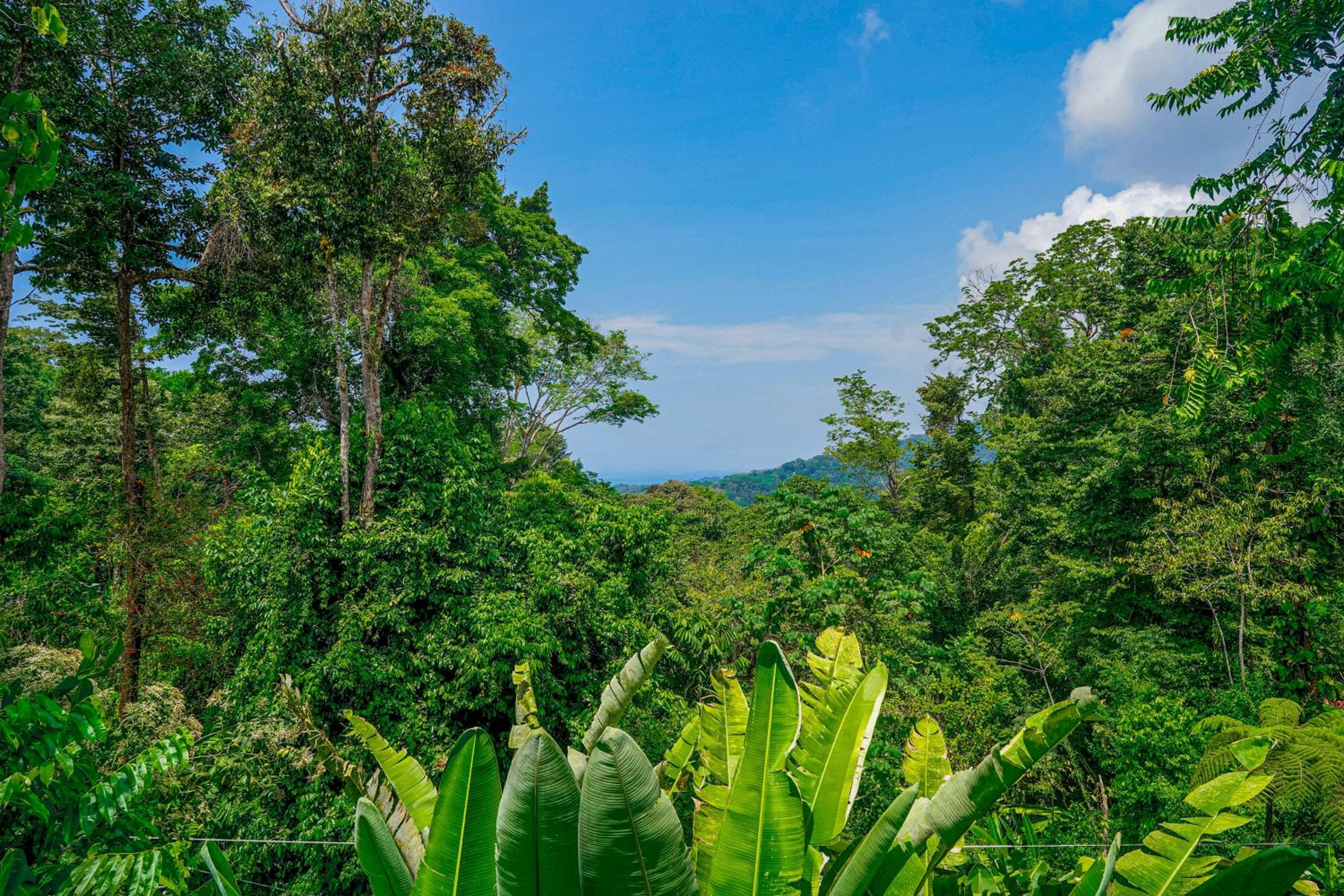 Casa Vista Verde
