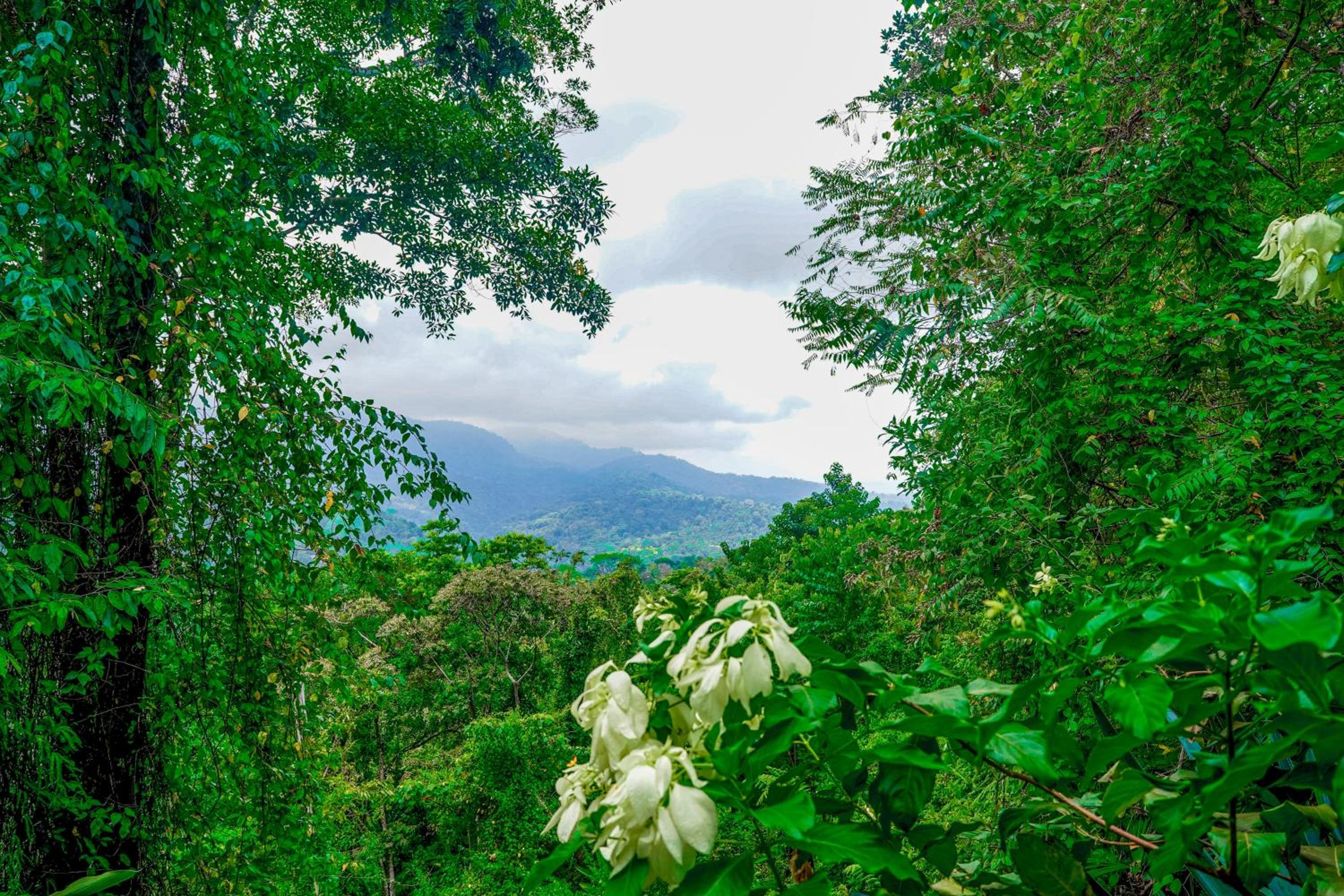 Casa Vista Verde
