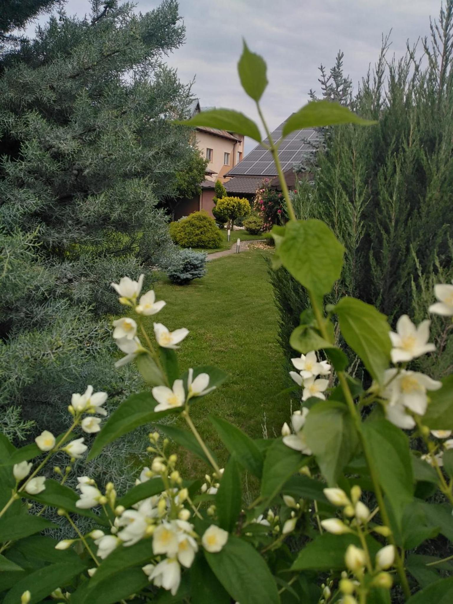 Photo 37