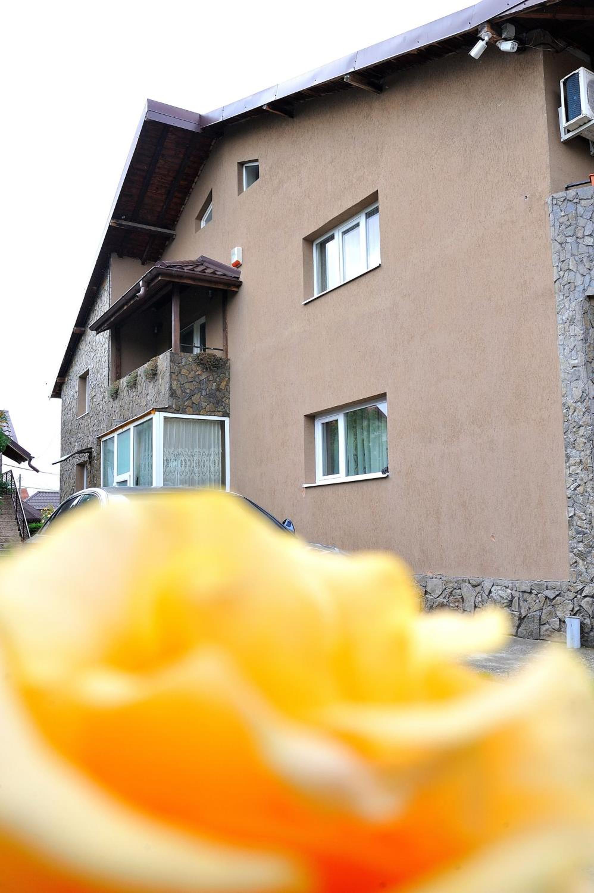 Photo 41