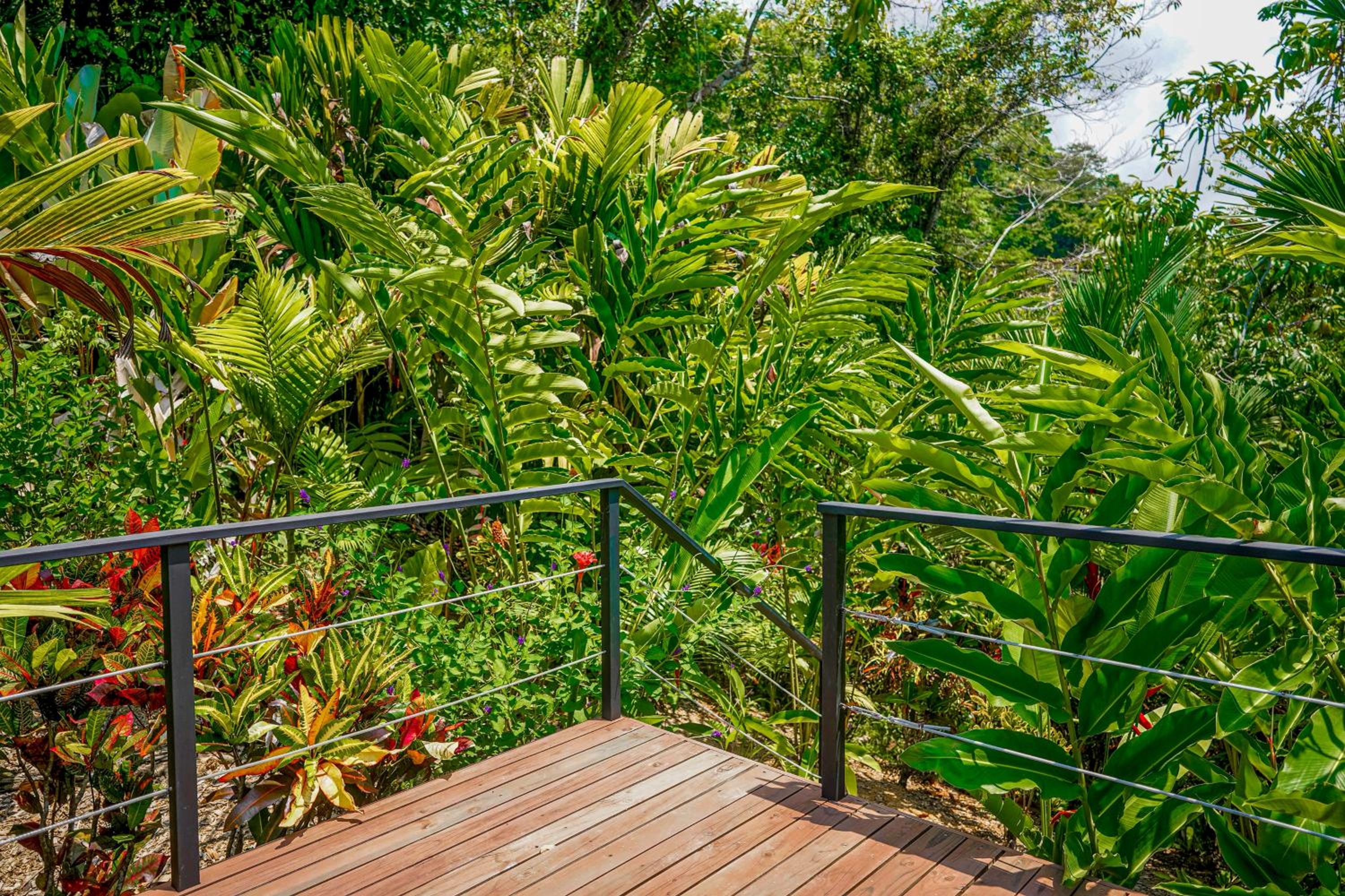 Casa Vista Verde