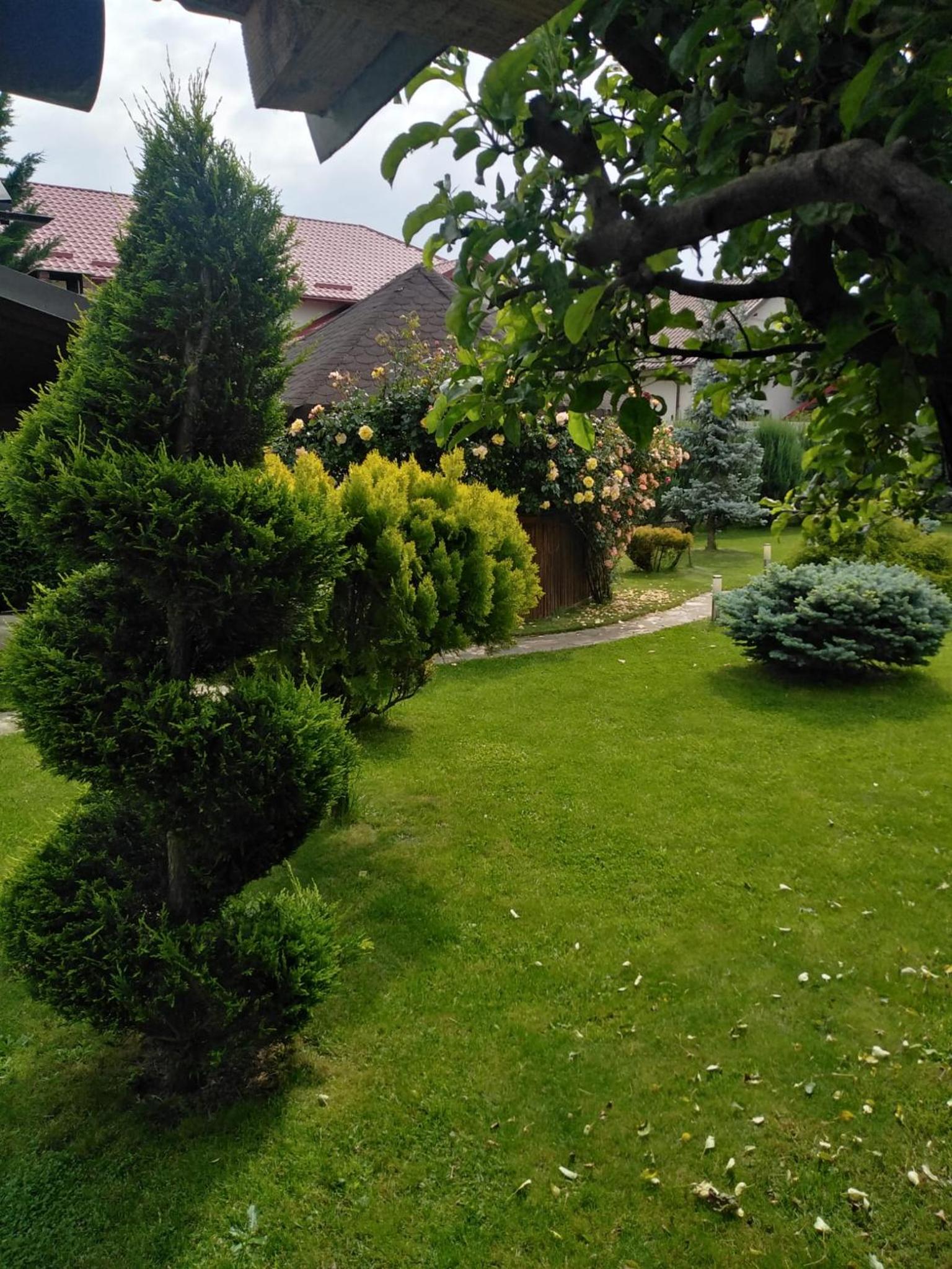 Photo 43