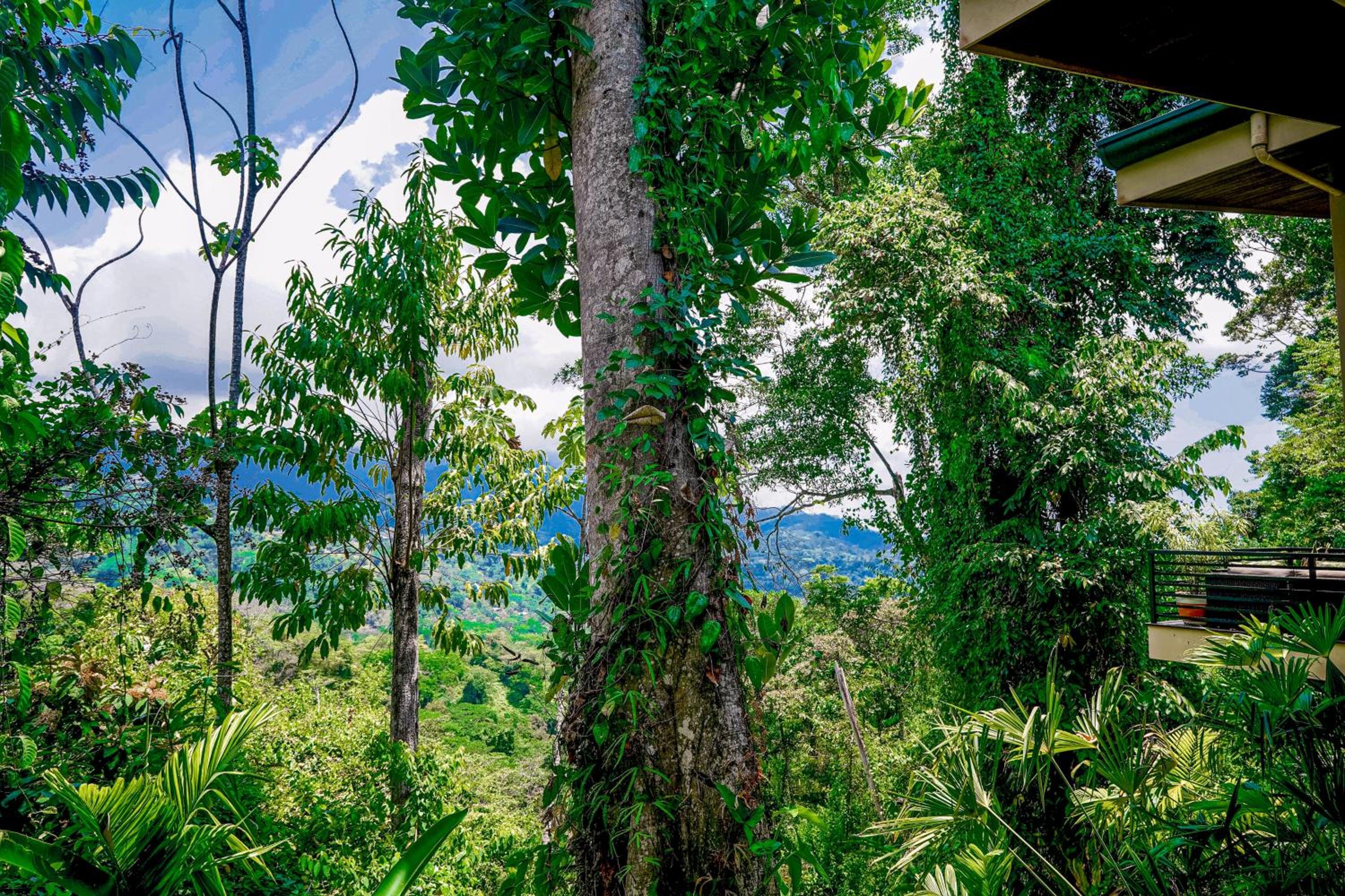Casa Vista Verde