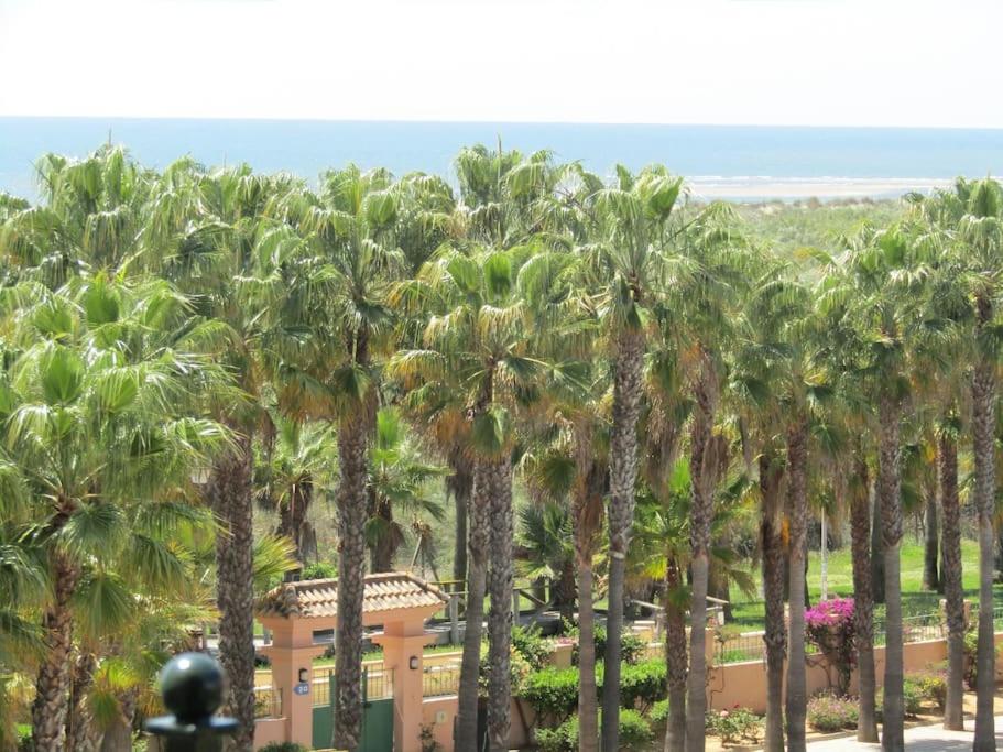 Relax junto al mar. 1ª linea de playa de I. Canela view 2