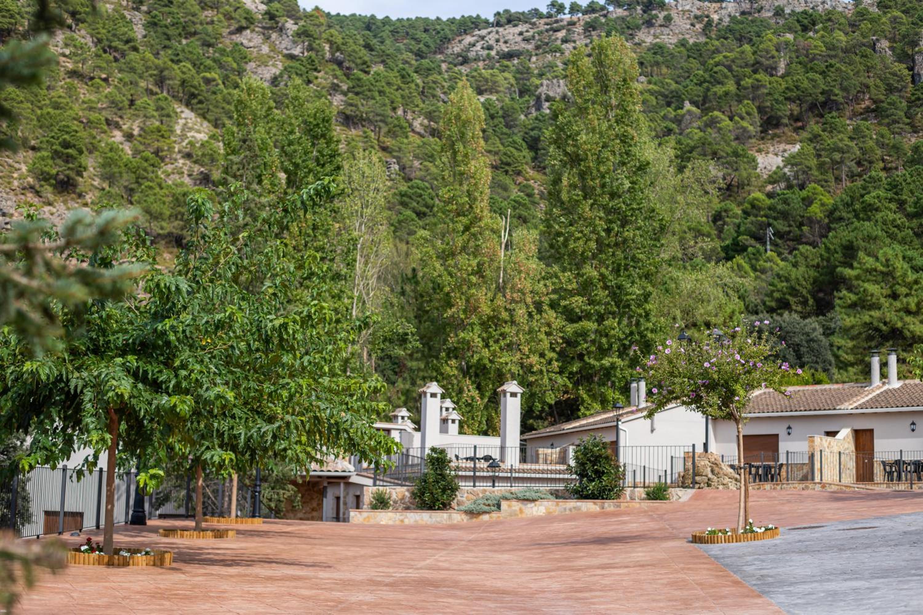 Apartamentos 7 puentes sierra Cazorla Casa Tejo