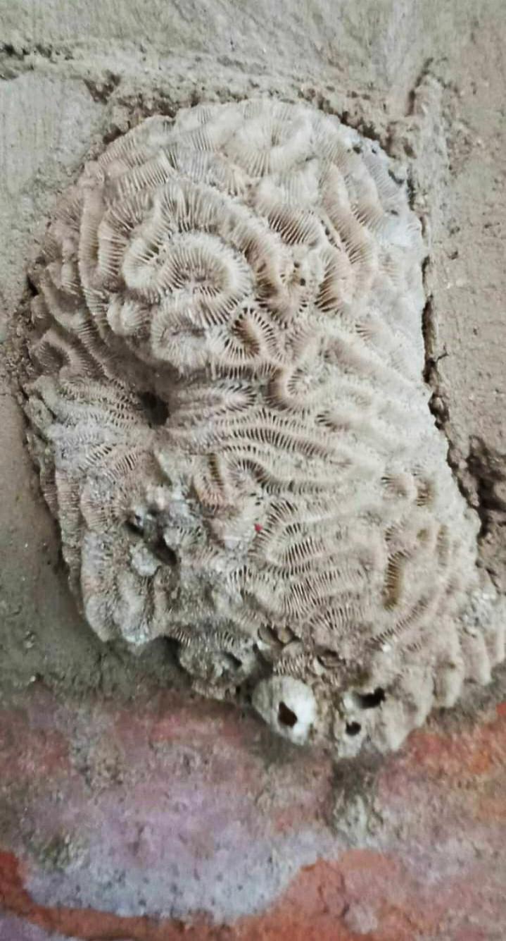 Apartamento Tranquilo Fresco Ubicación 5