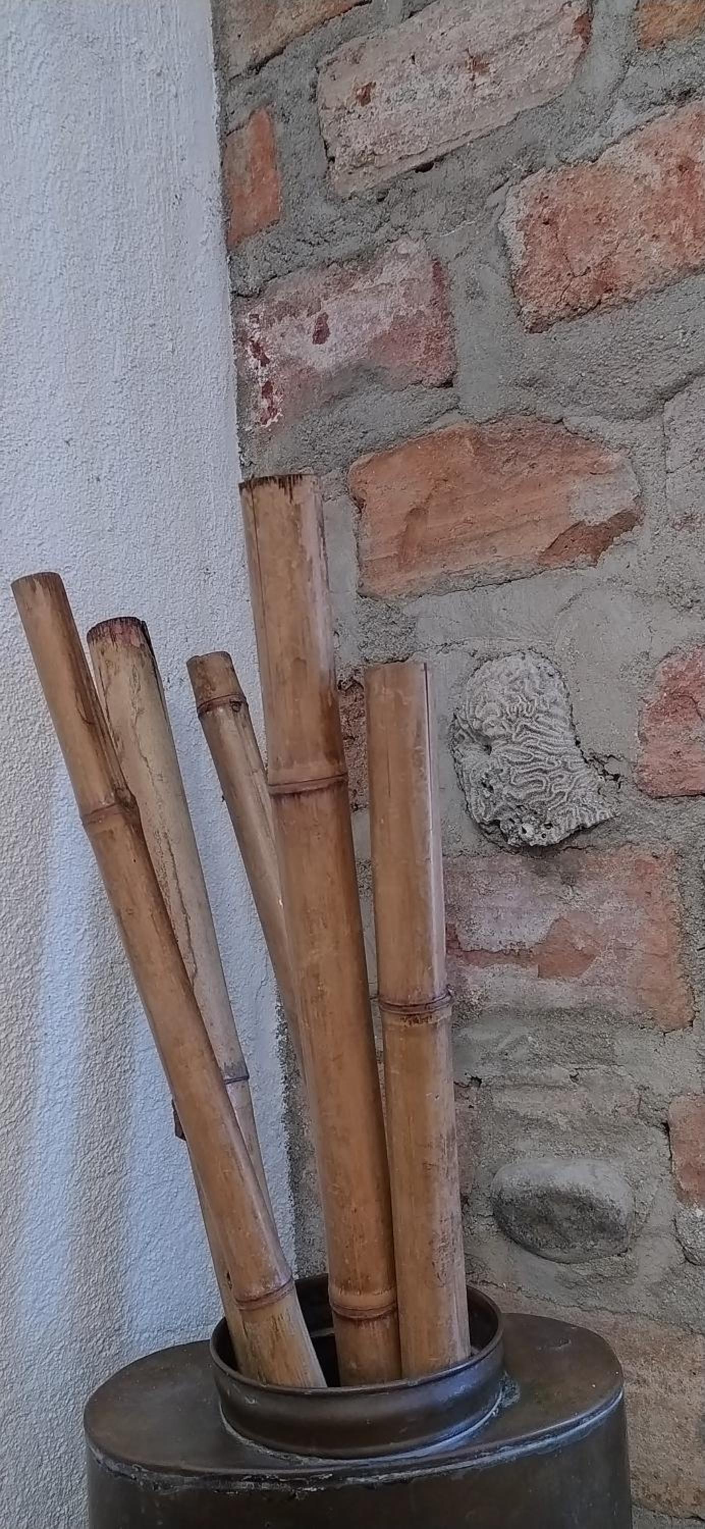 Apartamento Tranquilo Fresco Ubicación 5