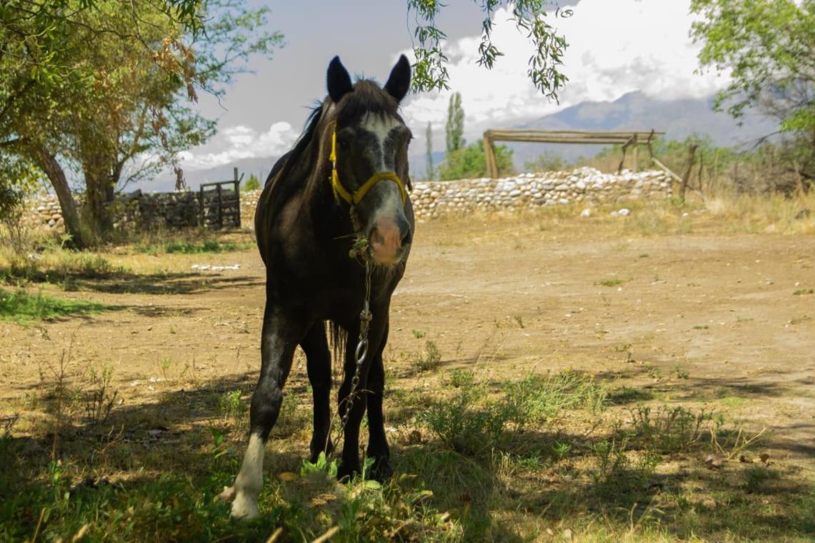 La Martina