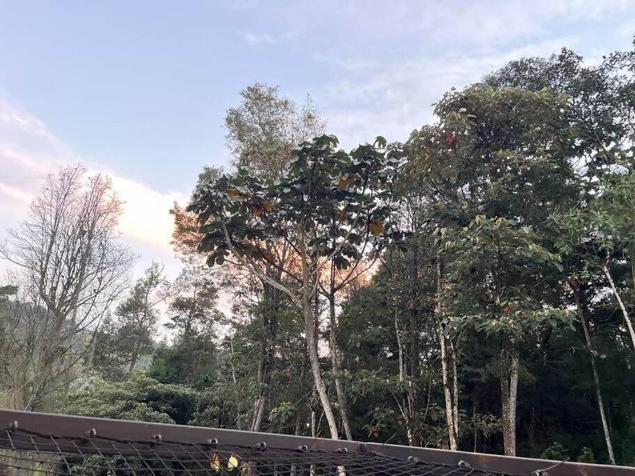 Cálida cabaña aeropuerto mde jacuzzi malla vista al bosque y wifi