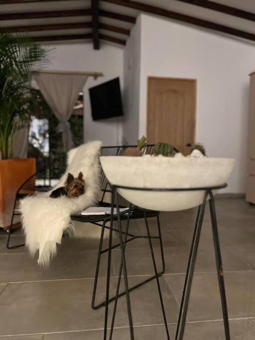 Cálida cabaña aeropuerto mde jacuzzi malla vista al bosque y wifi