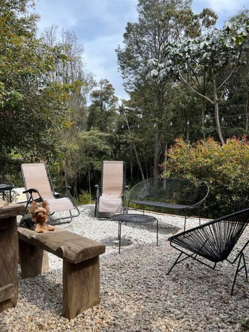 Cálida cabaña aeropuerto mde jacuzzi malla vista al bosque y wifi