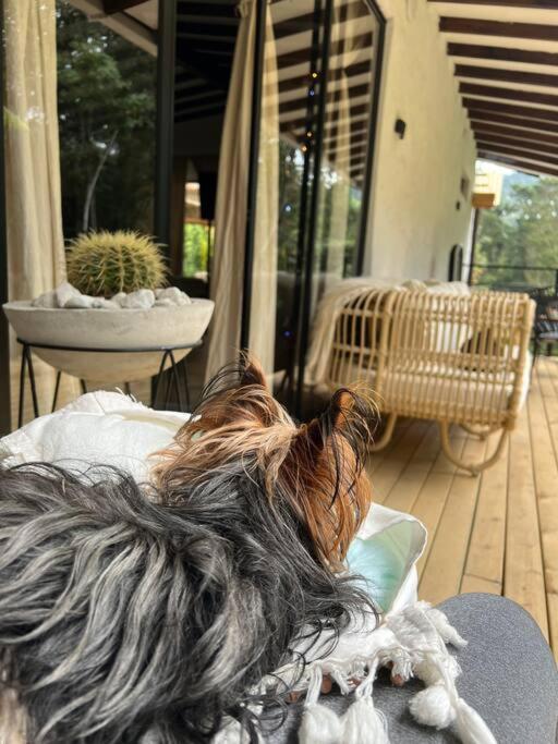 Cálida cabaña aeropuerto mde jacuzzi malla vista al bosque y wifi