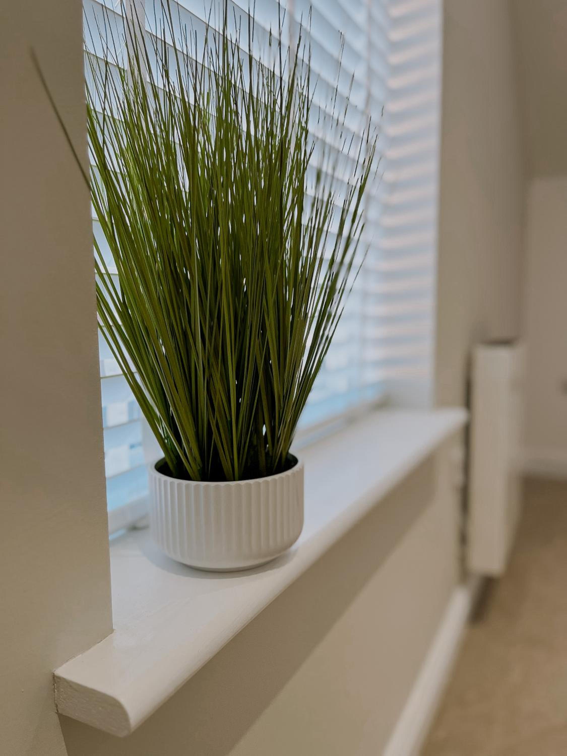 Ivy Shores Apartment