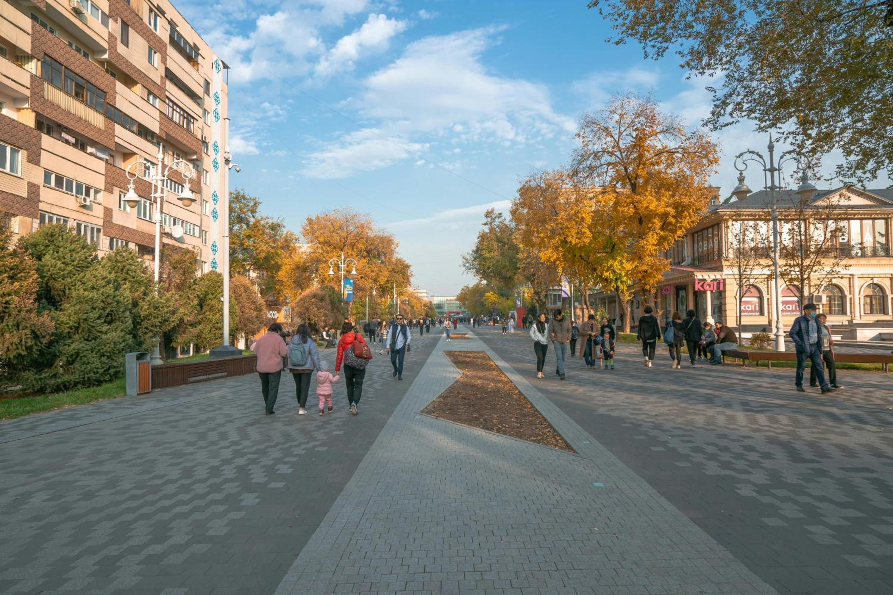 Nadezhda Apartments on the Nauryzbai Batyr 82 view 5