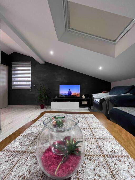 Apartment Mehanovic