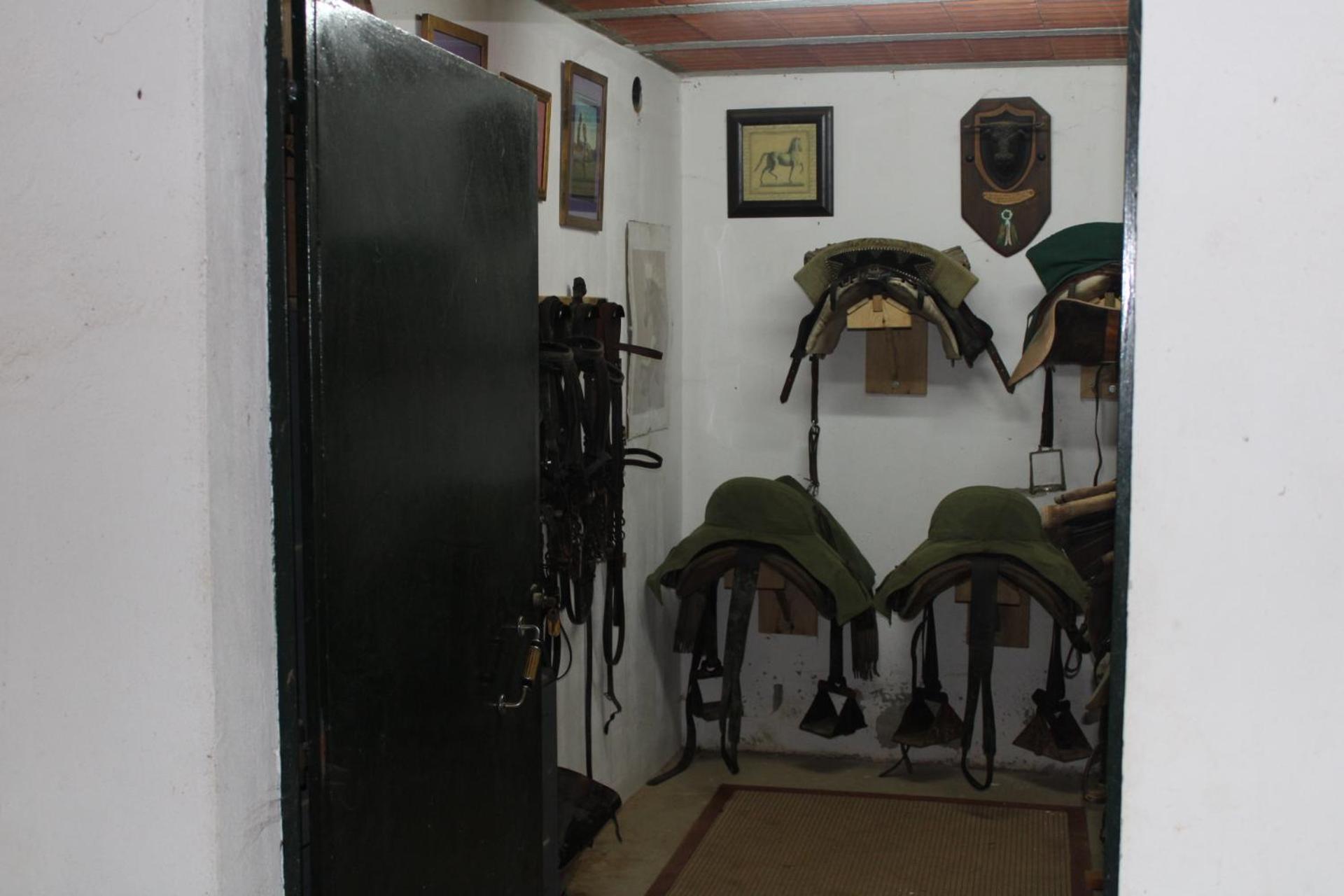 Photo 47