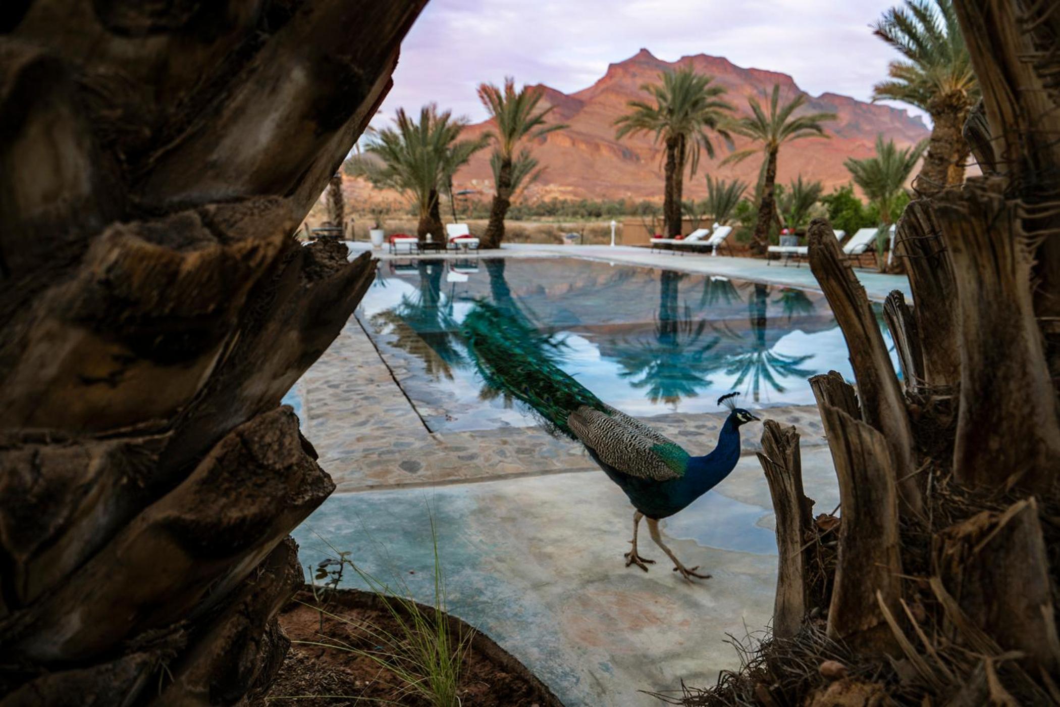 Lodge Hara Oasis