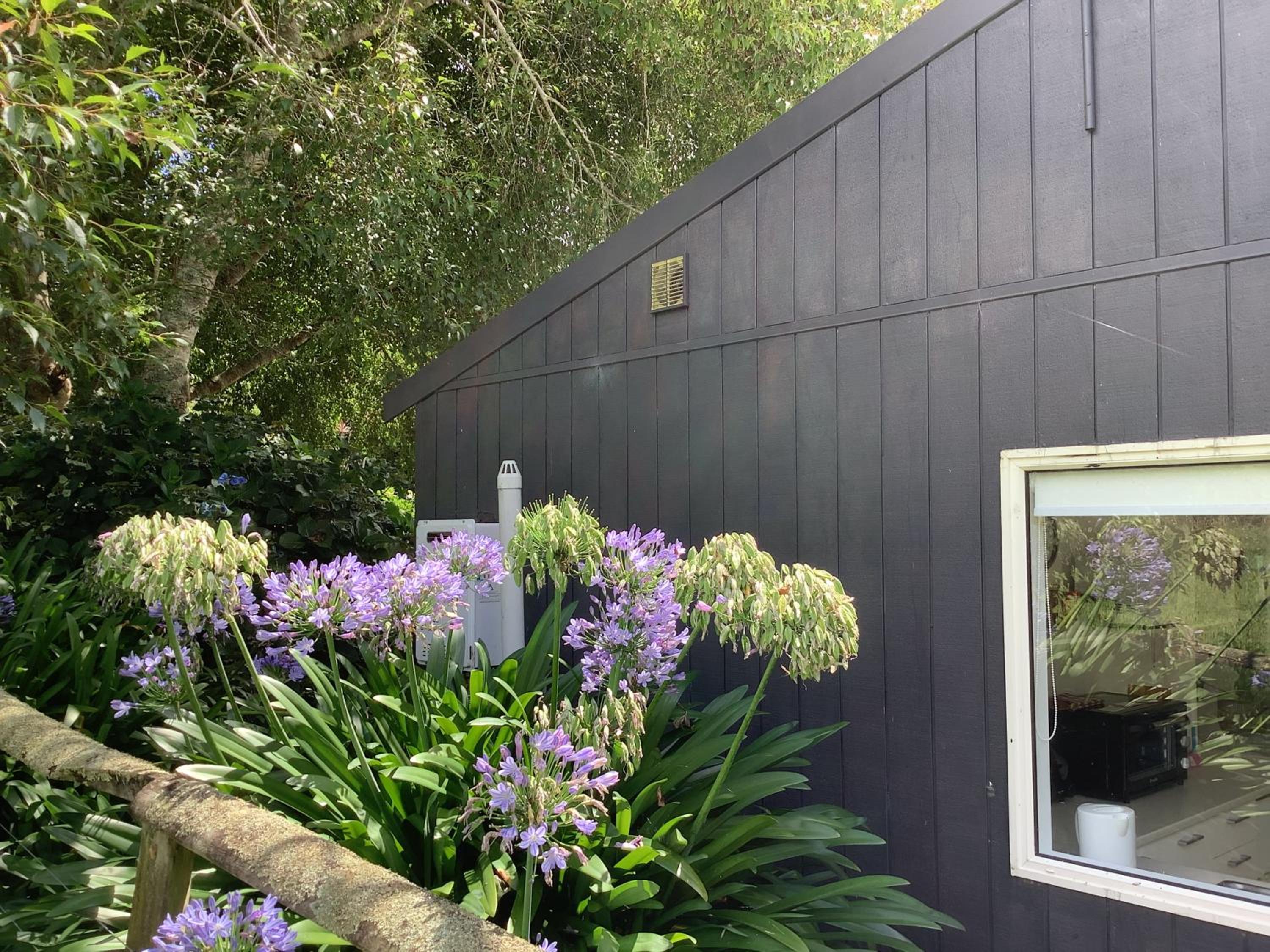 Wood Pigeon Cottage Pet Friendly Free Breakfast Hauraki Rail Trail 2kms
