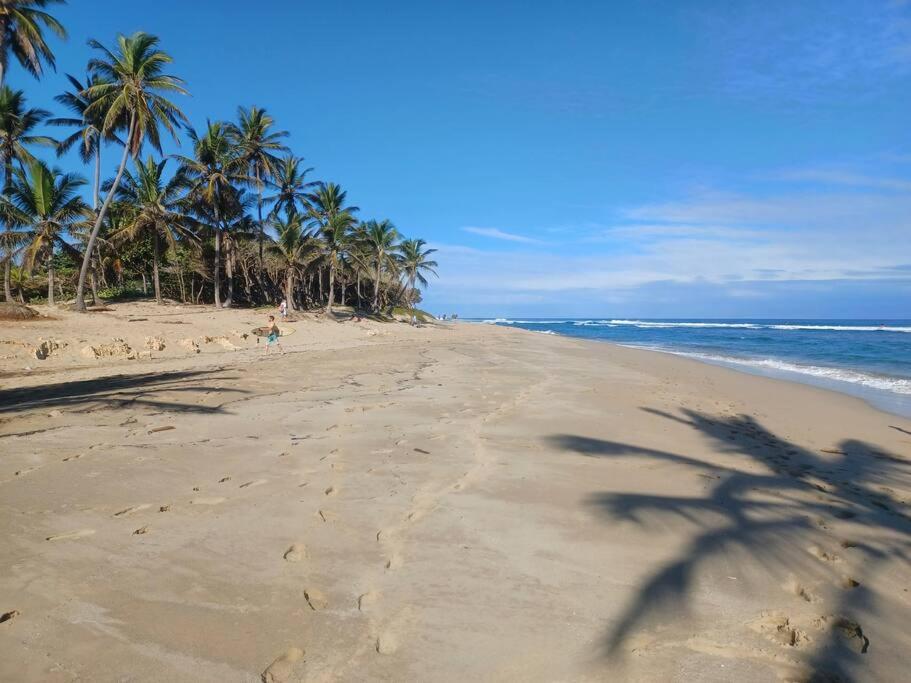 le Paradis du surfeur