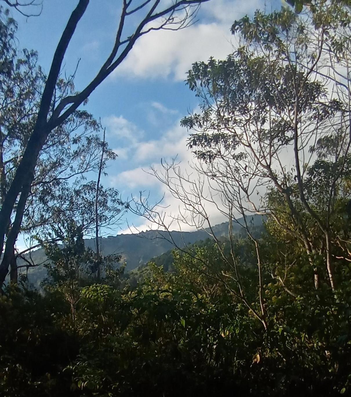 Cabina de montaña