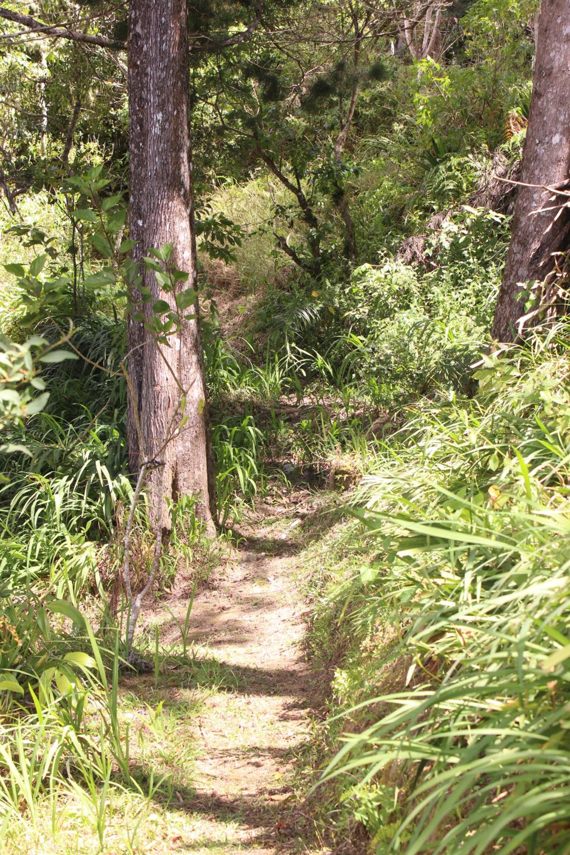 Cabina de montaña