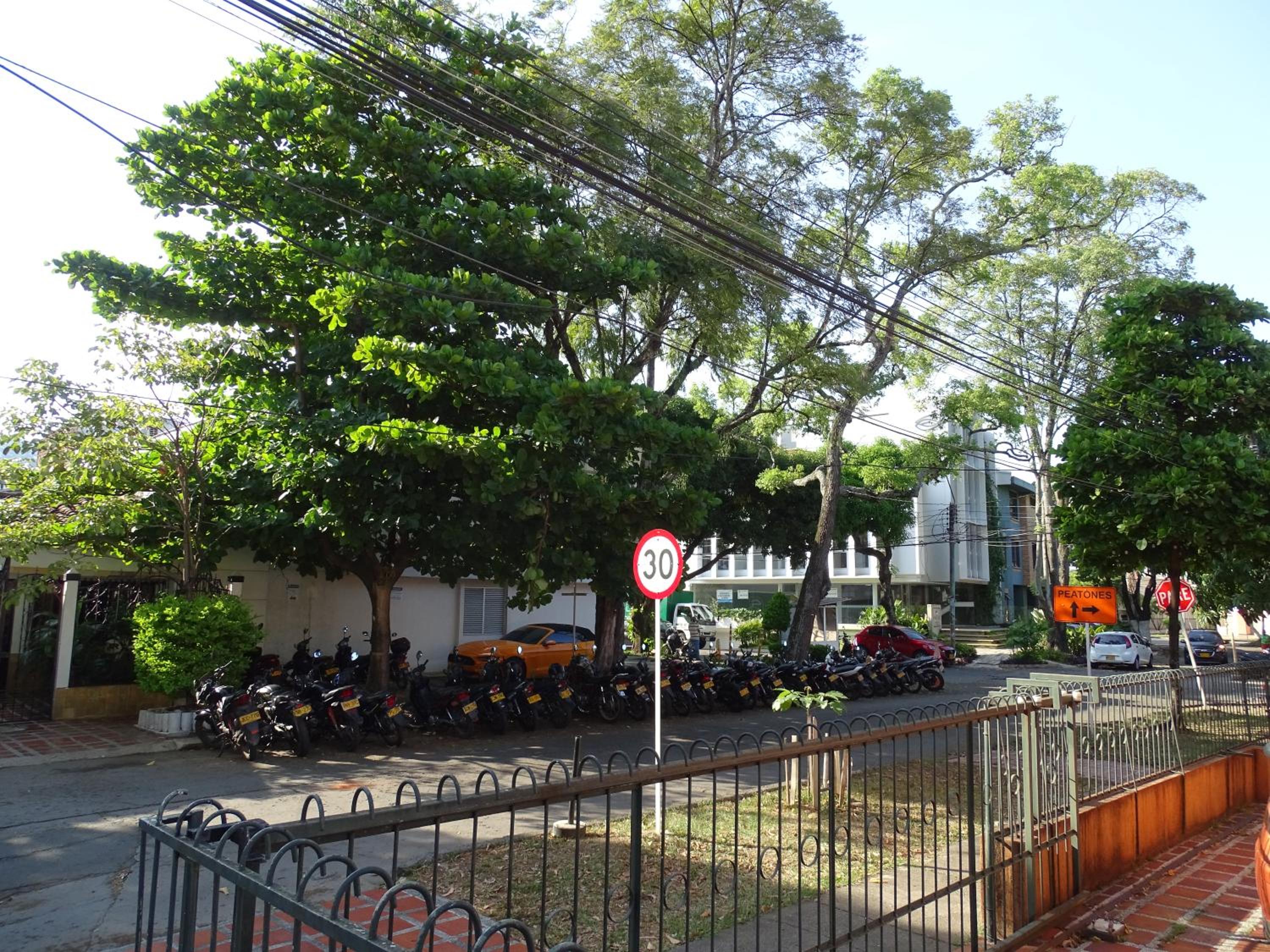 parking