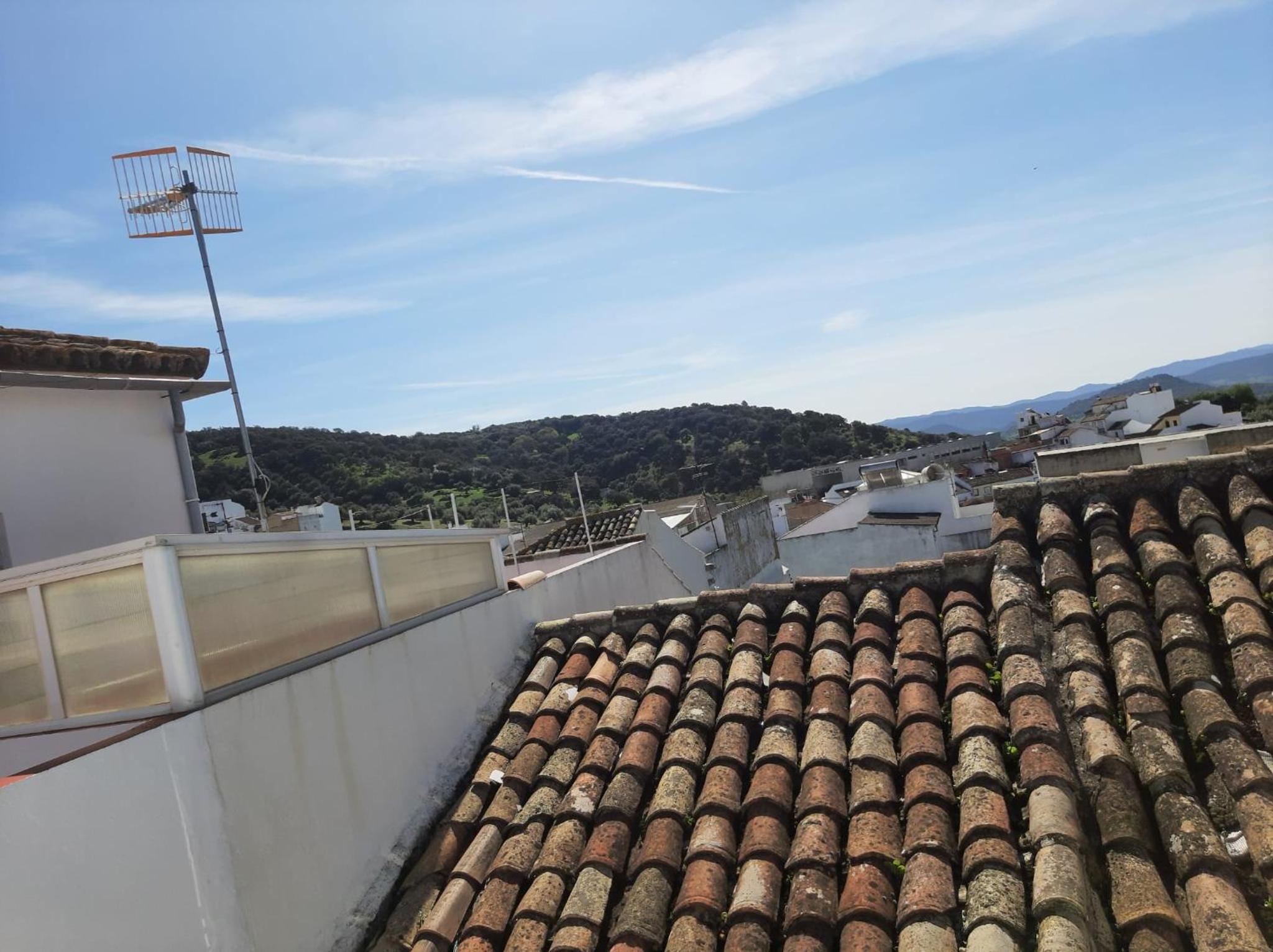 roof