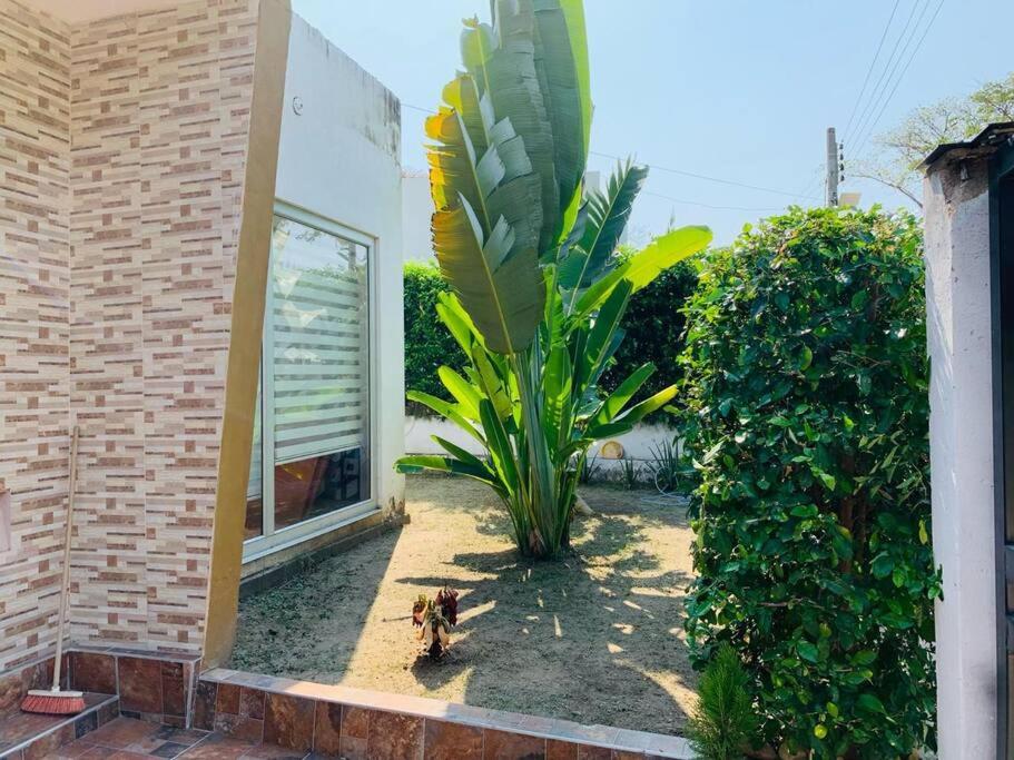 Villa Elena