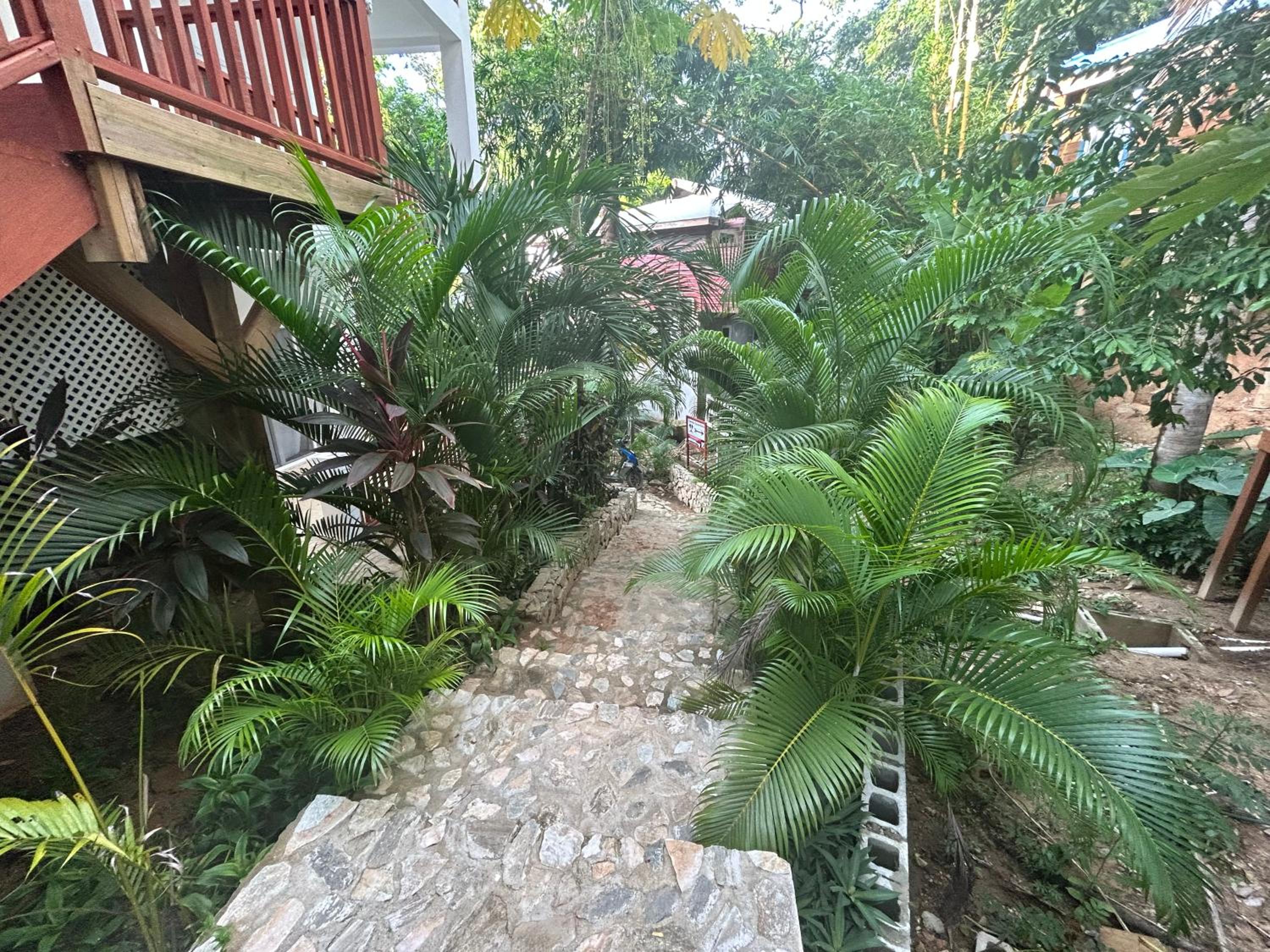 Caribbean Nest, West End, Roatan view 4